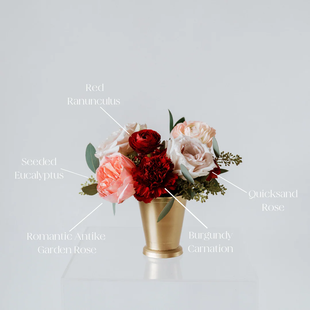 Pink Romantic Antike Garden Rose - Image 7