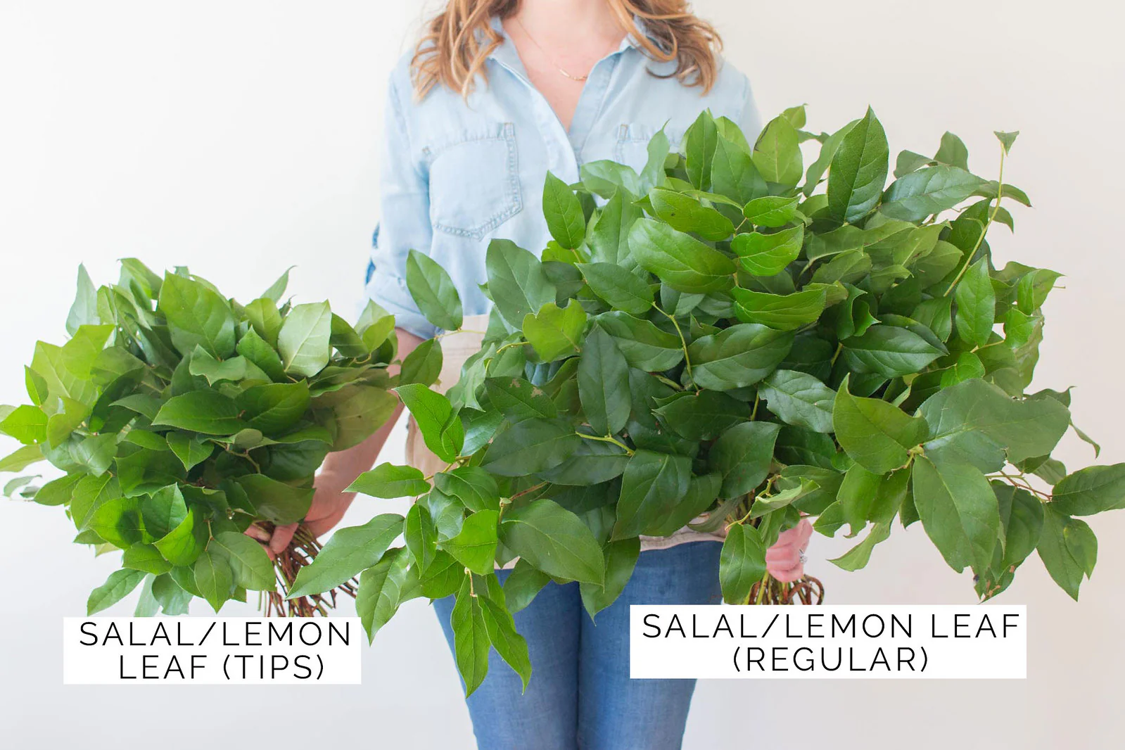Salal Greenery - Image 7