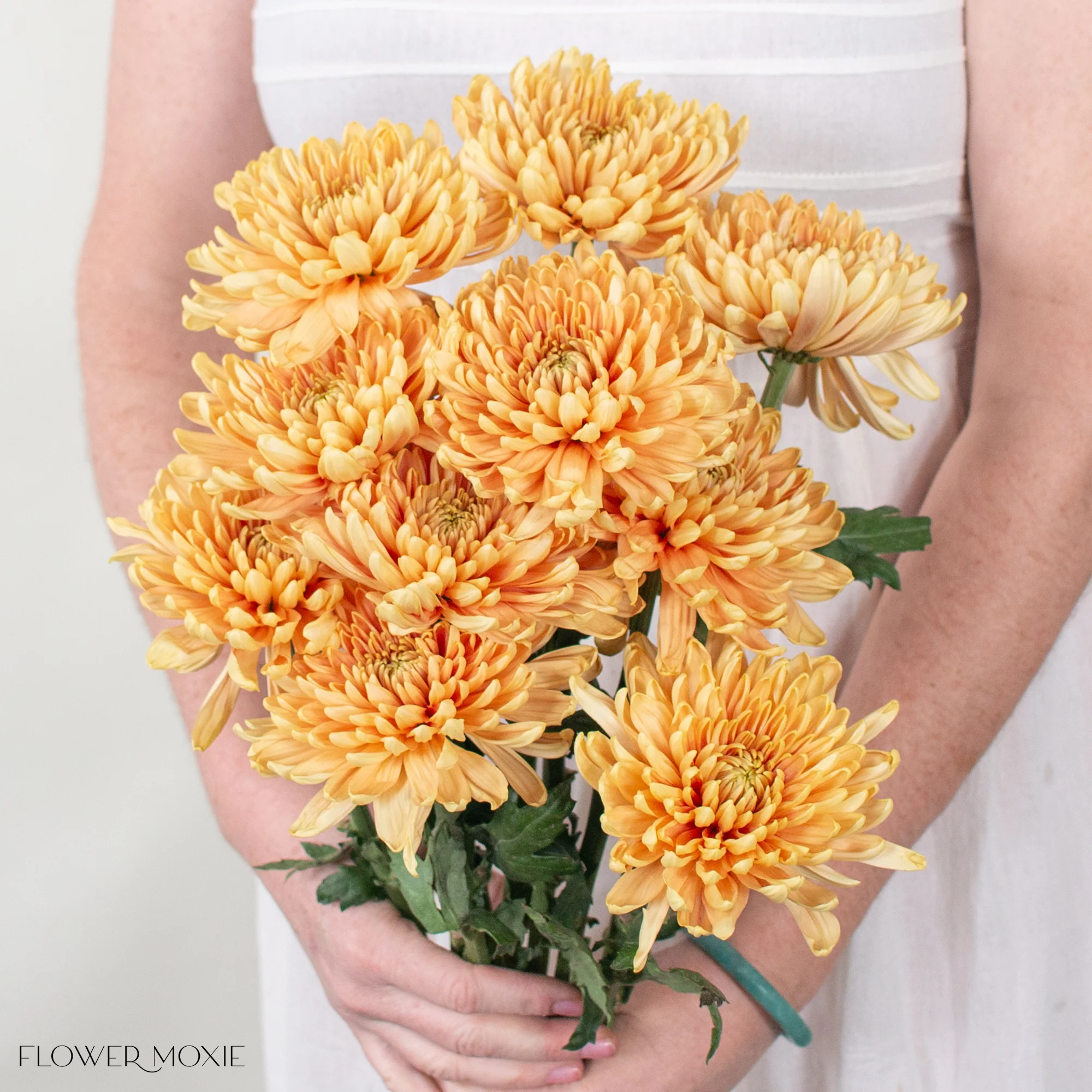 Salmon Cremone Flower - Image 3