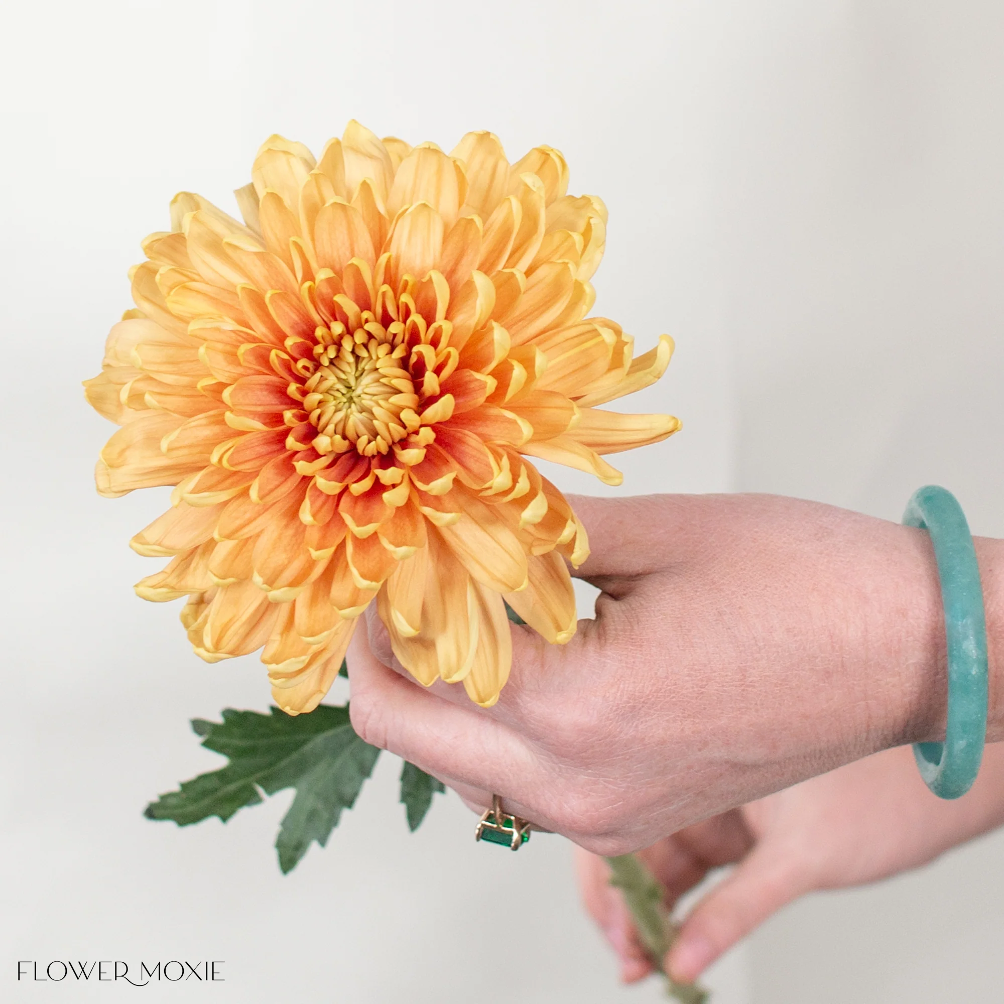 Salmon Cremone Flower - Image 4