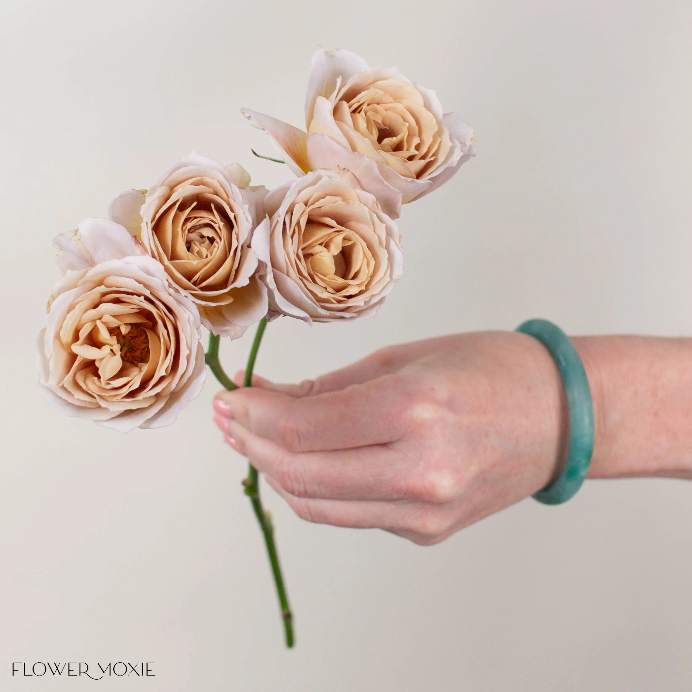 Sand Hana Spray Garden Roses - Image 3
