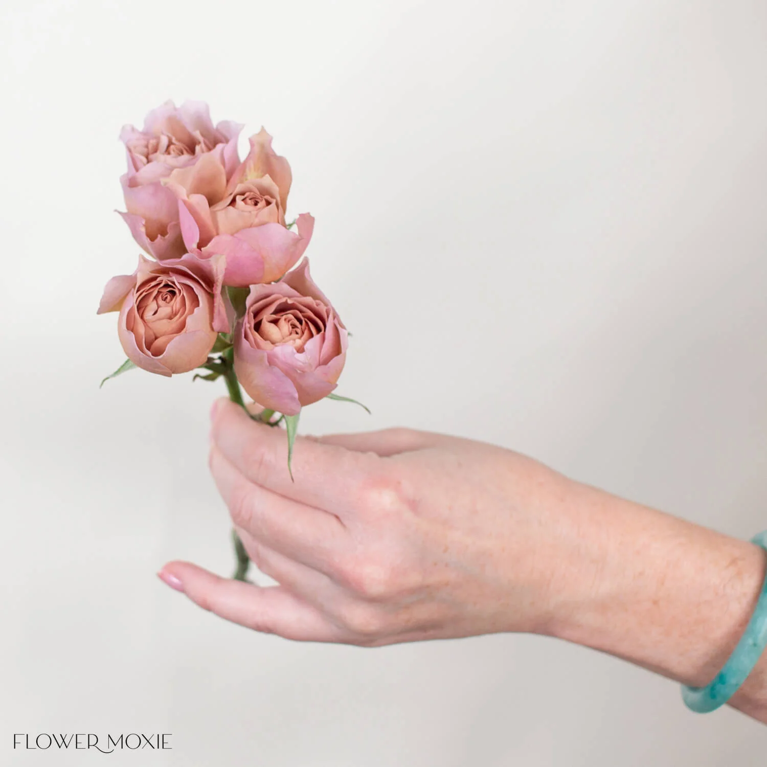 Sandy Pink Loli Spray Garden Roses - Image 4