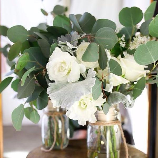 Silver Dollar Eucalyptus Greenery - Image 5