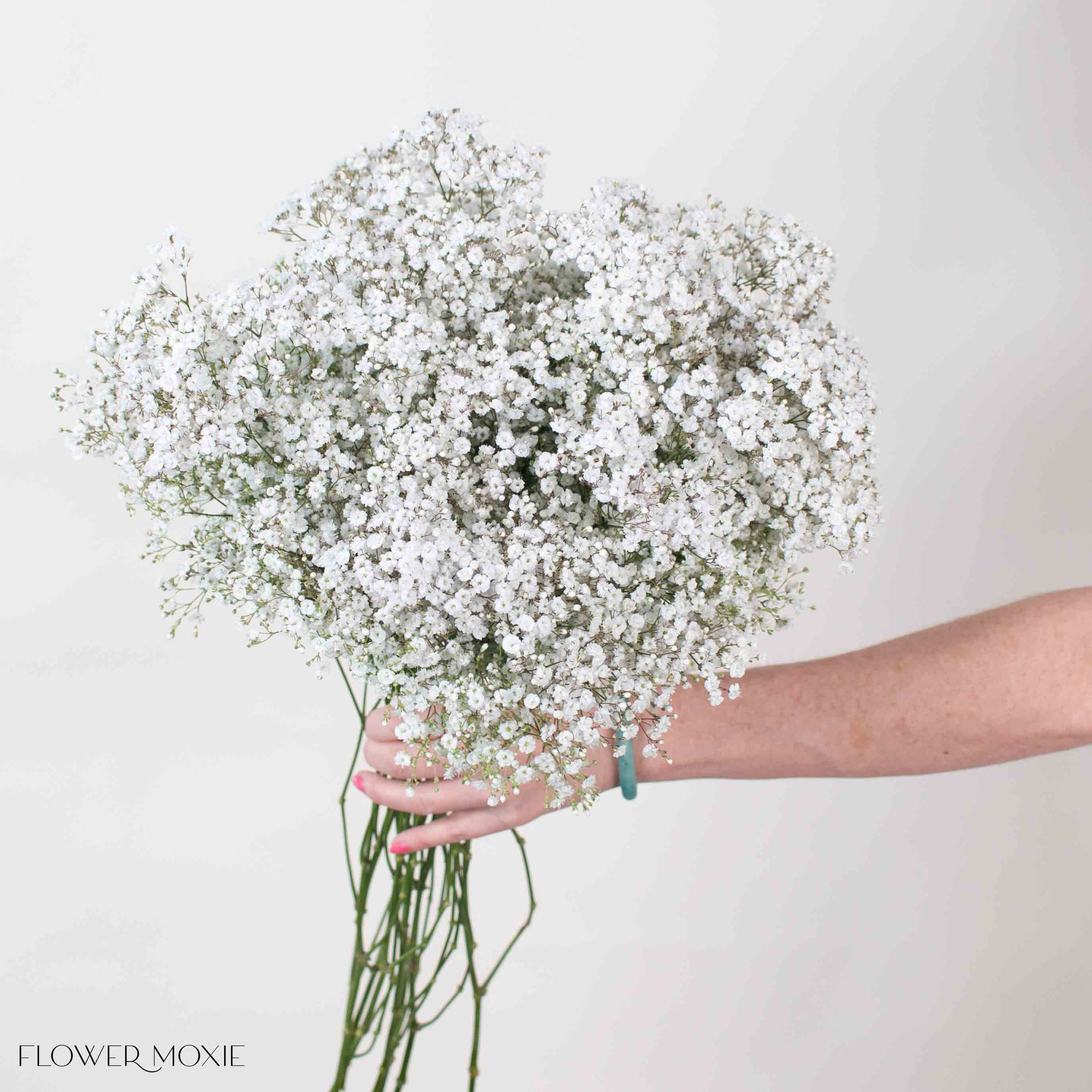 Small Million Star Baby's Breath Flower - Image 2