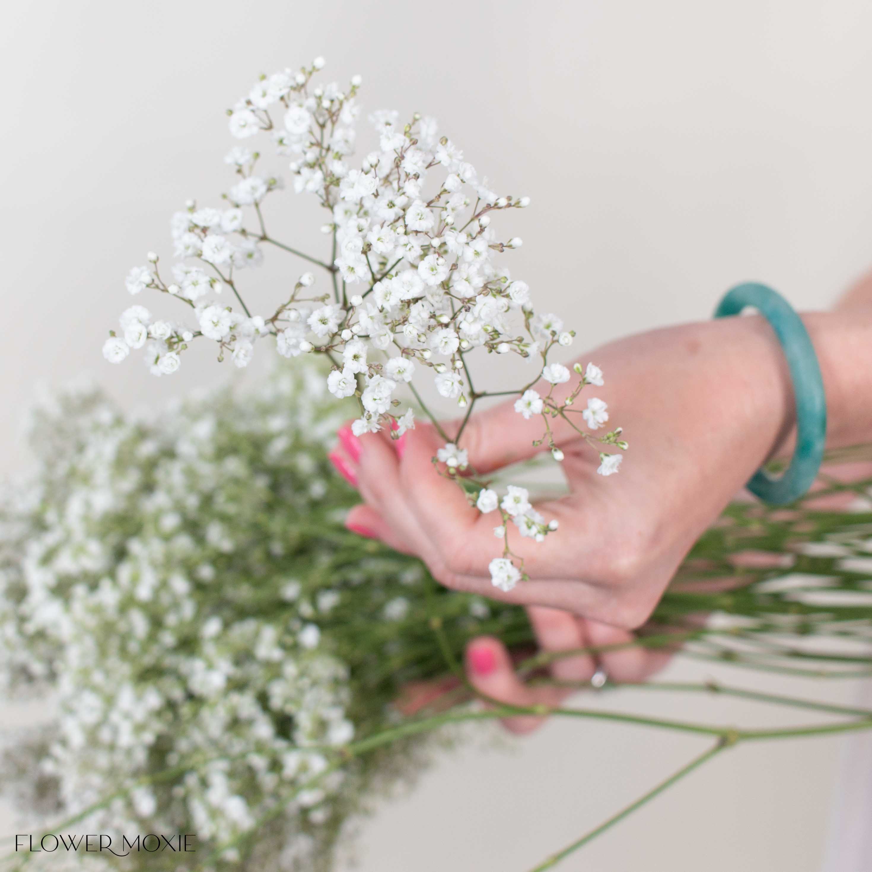 Small Million Star Baby's Breath Flower - Image 3