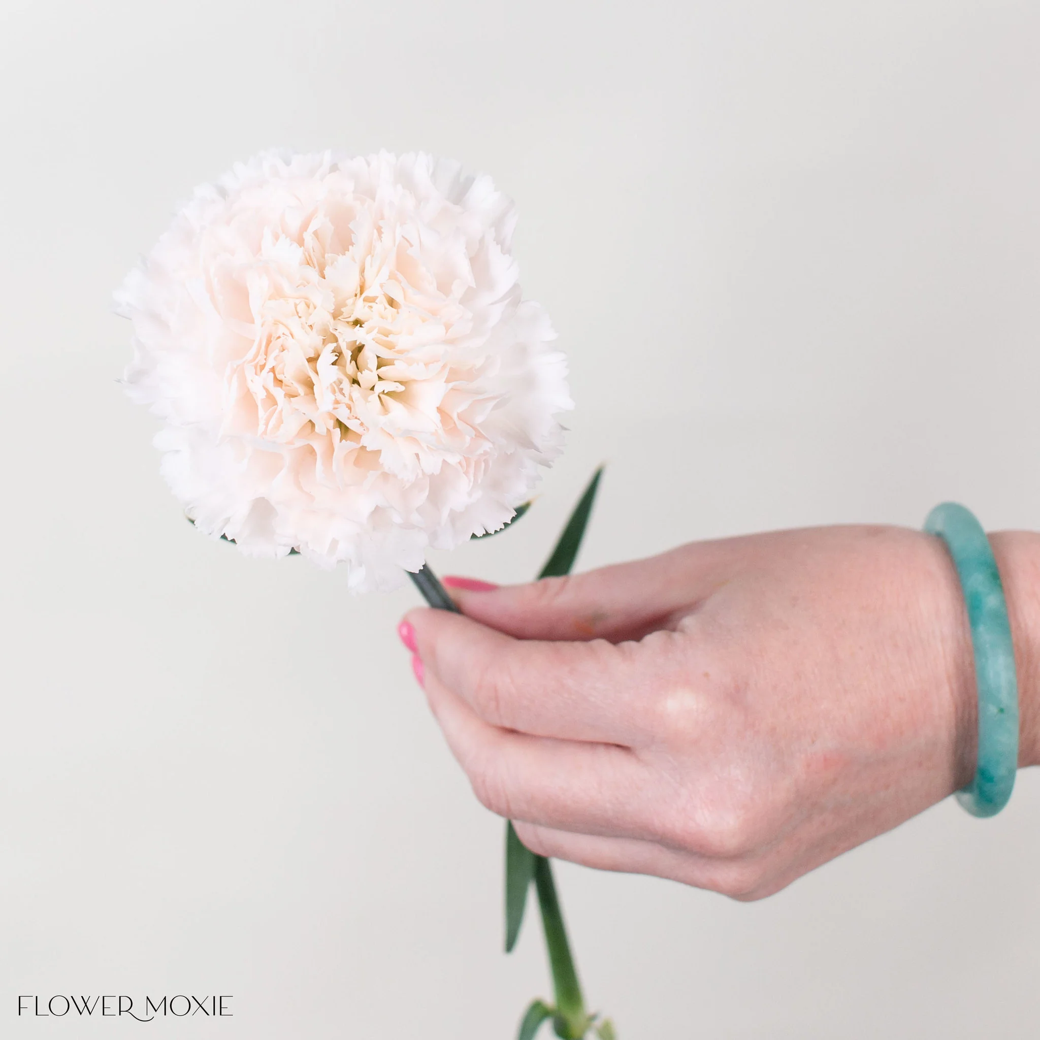 Soft Blush Carnation Flower - Image 2