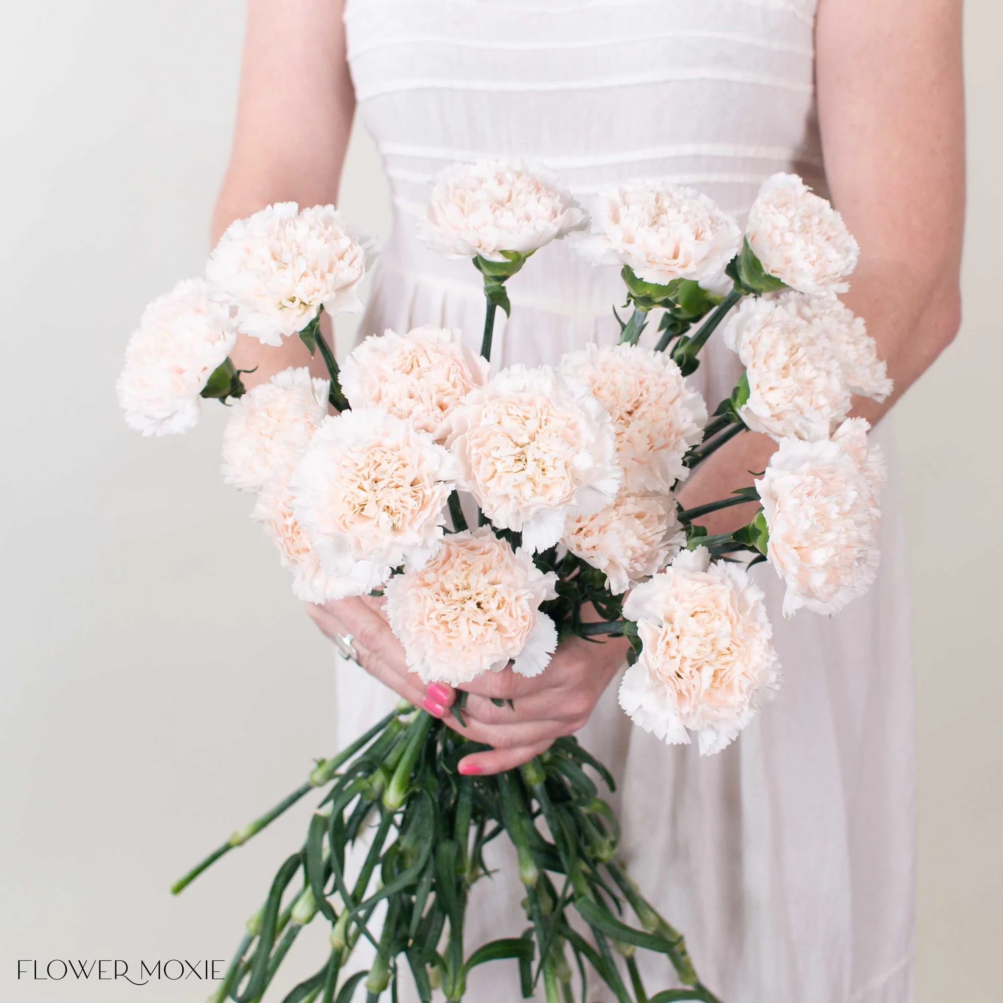 Soft Blush Carnation Flower - Image 3