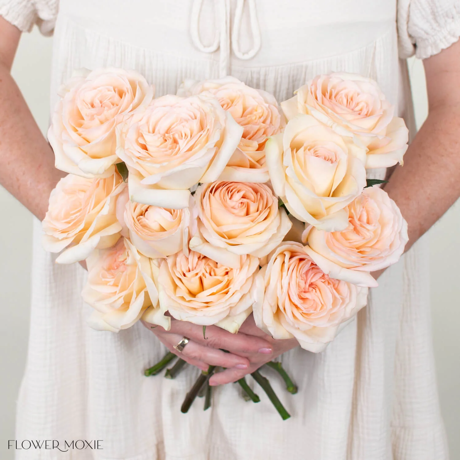 Peach Princess Maya Garden Rose