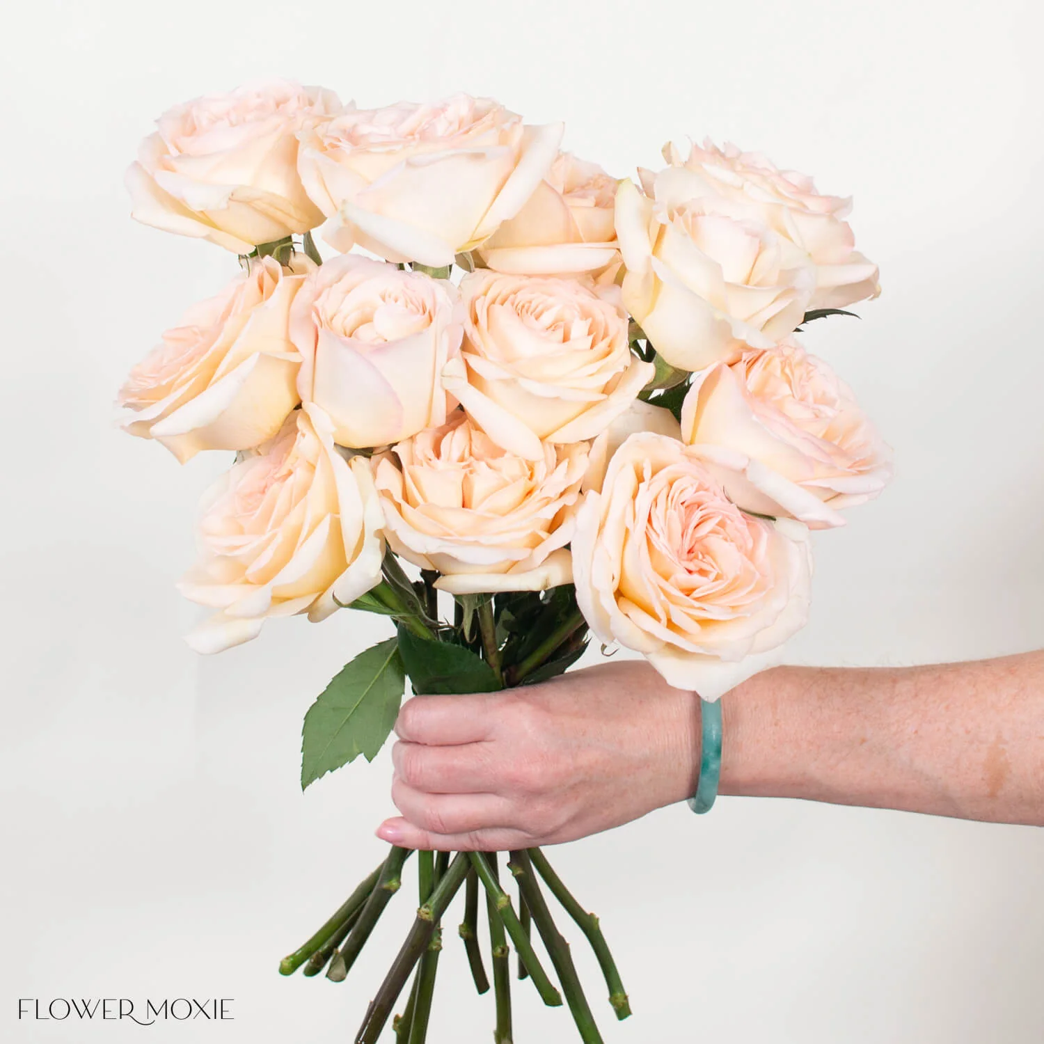 Peach Princess Maya Garden Rose - Image 2
