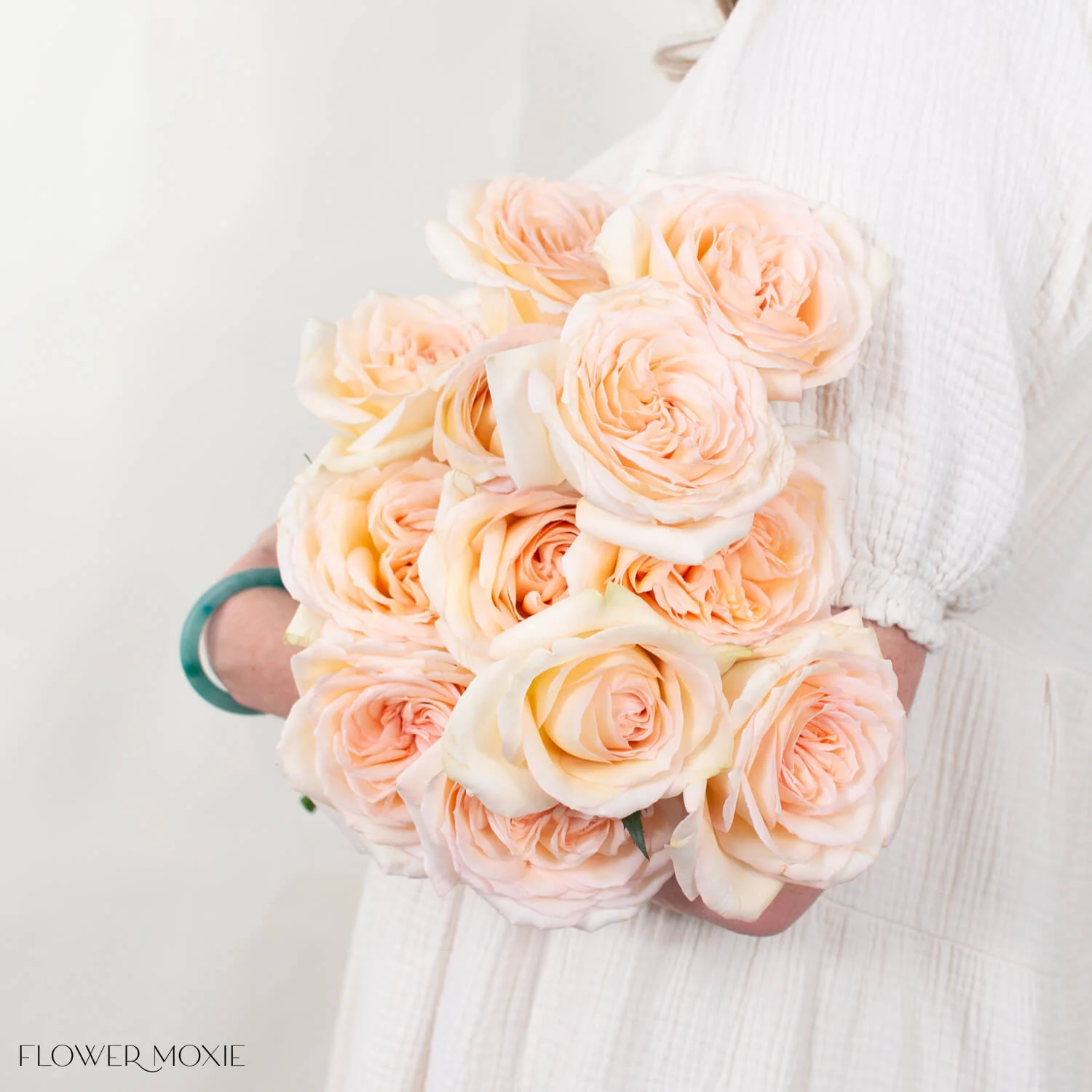 Peach Princess Maya Garden Rose - Image 4