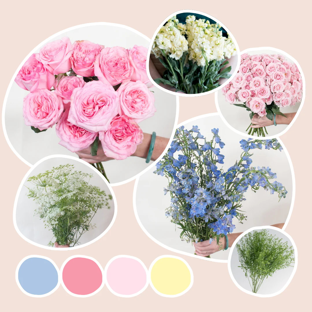 Soft Wildflower Sample Box