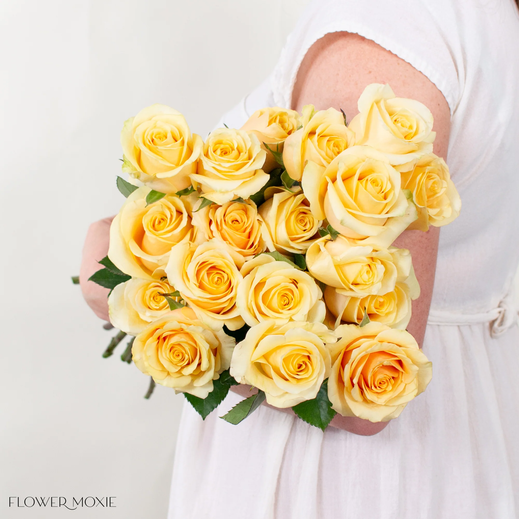 Honey Yellow Butterscotch Rose