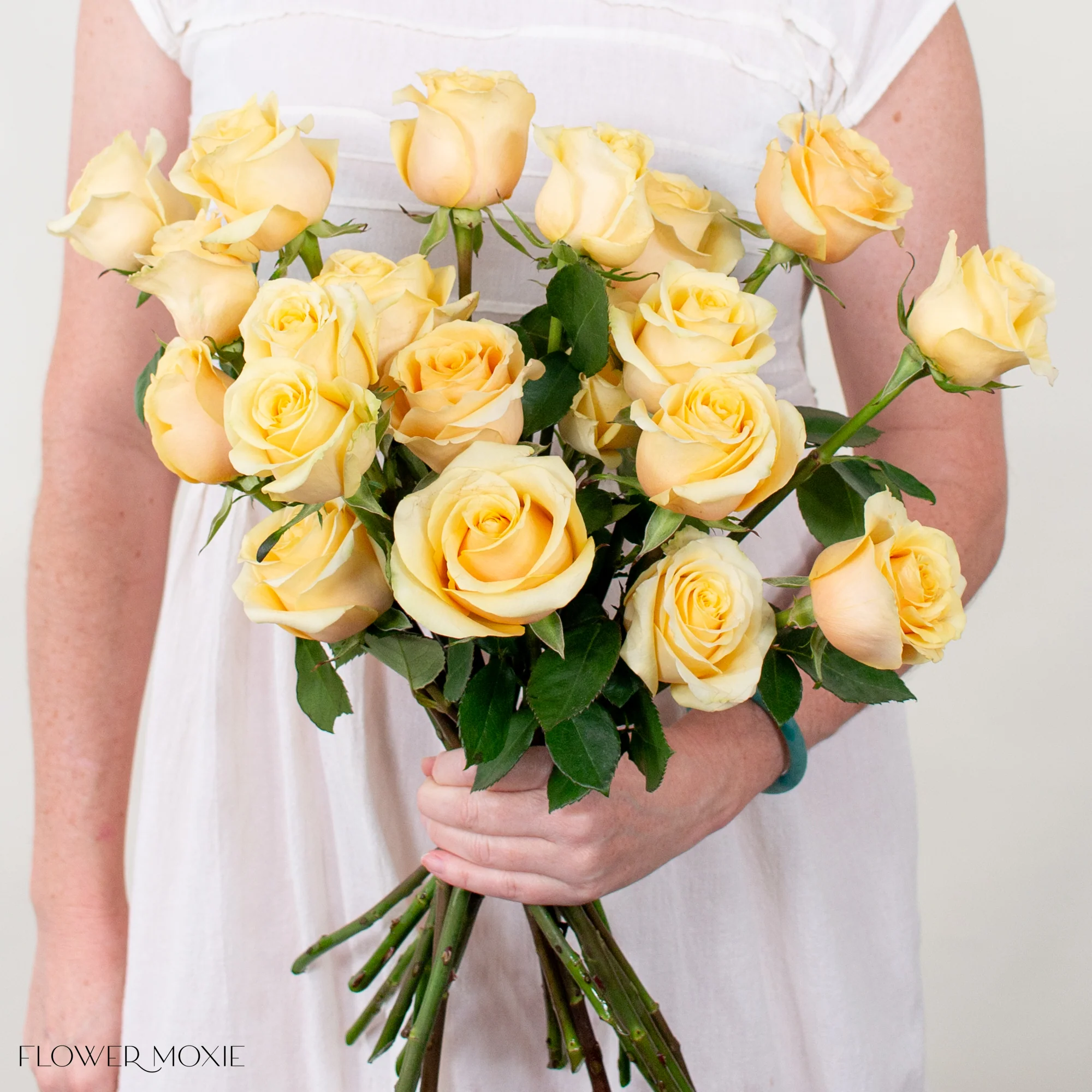 Honey Yellow Butterscotch Rose - Image 2