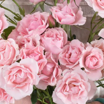 Spray Roses x 30 stems - Image 3