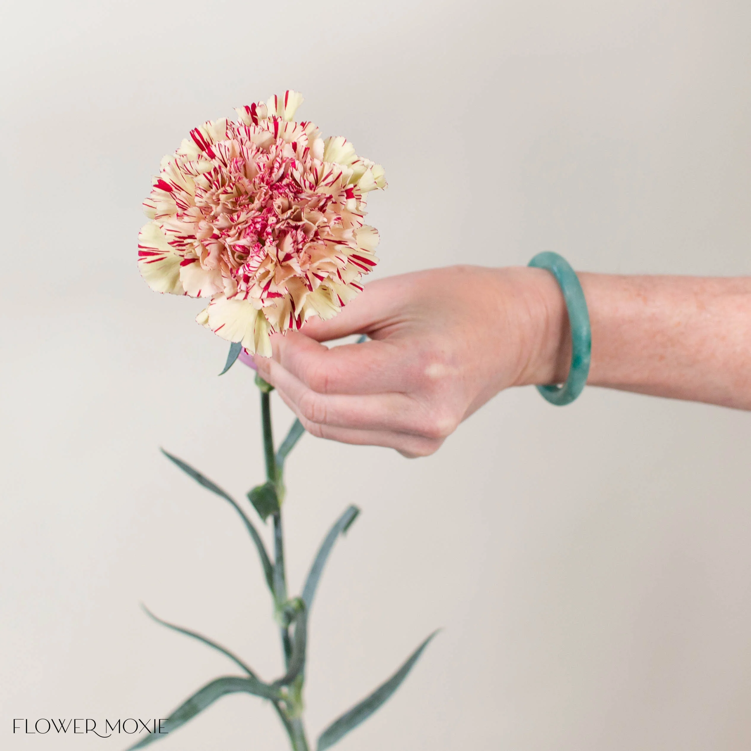 Strawberry Matcha Carnation Flower - Image 4