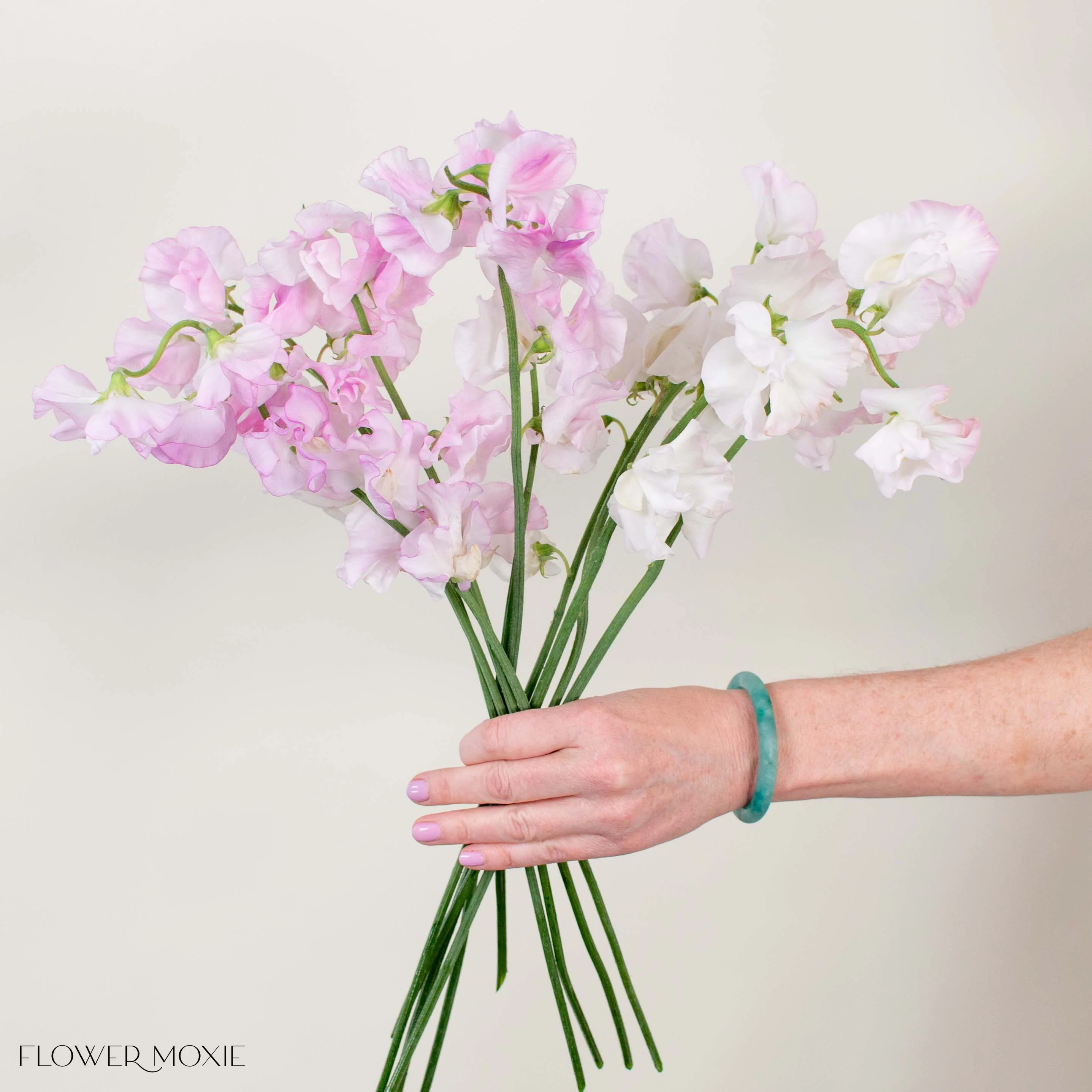 Blush Pink Sweet Pea - Image 3