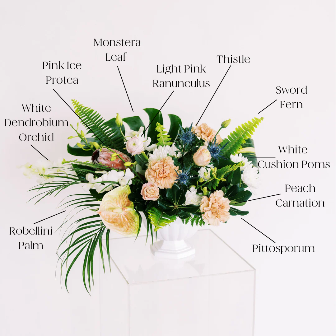 Sword Fern Greenery - Image 2