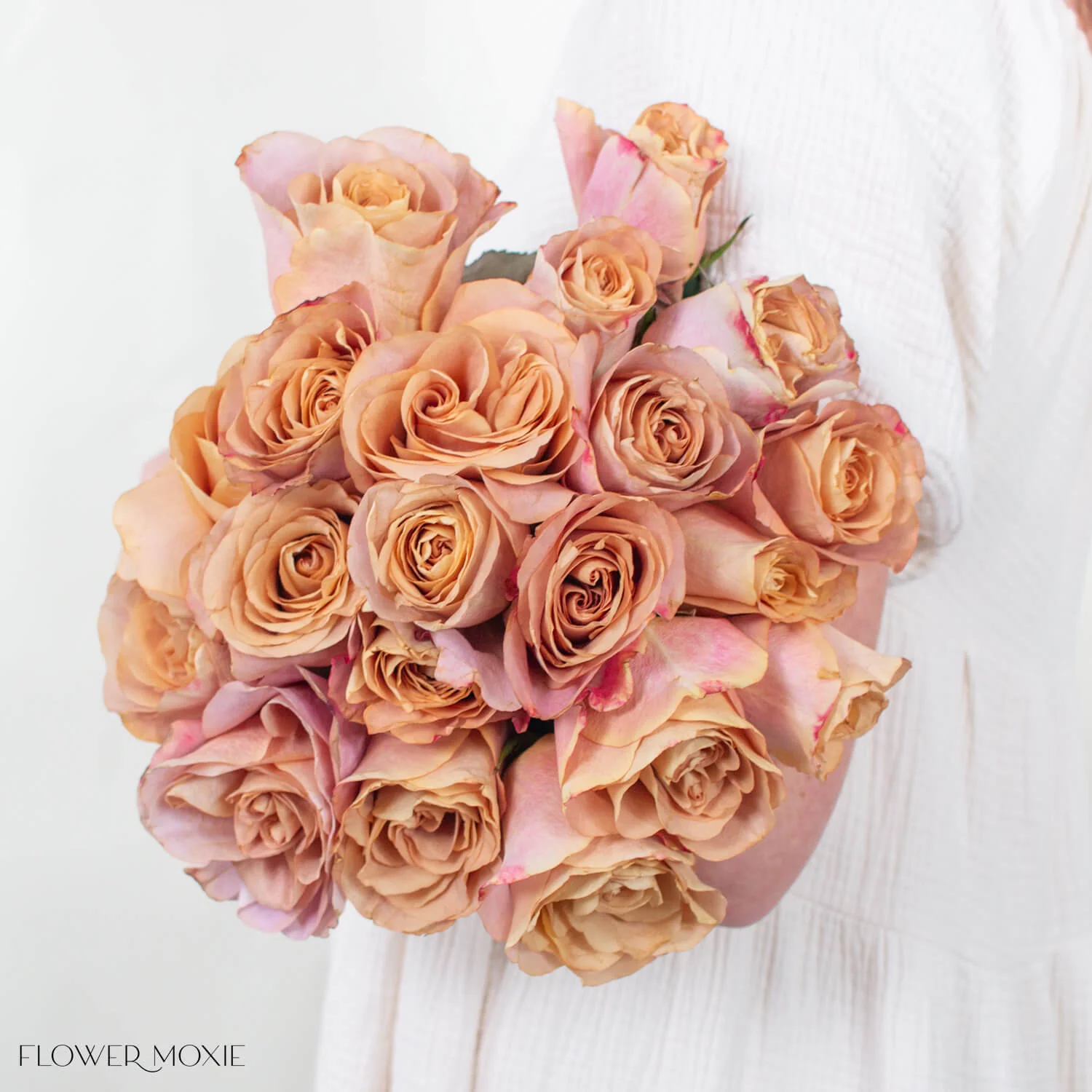 Golden Brown Symbol Rose - Image 4