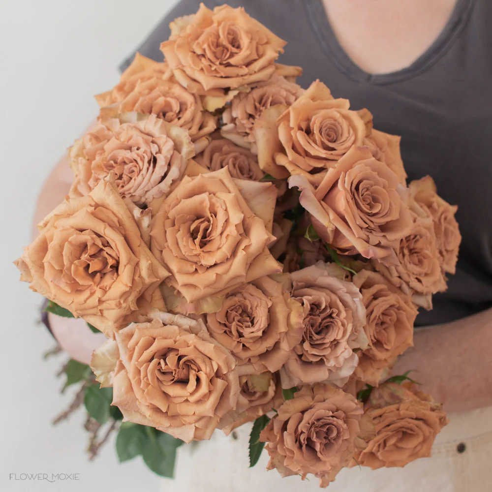 Brown Toffee Rose - Image 5