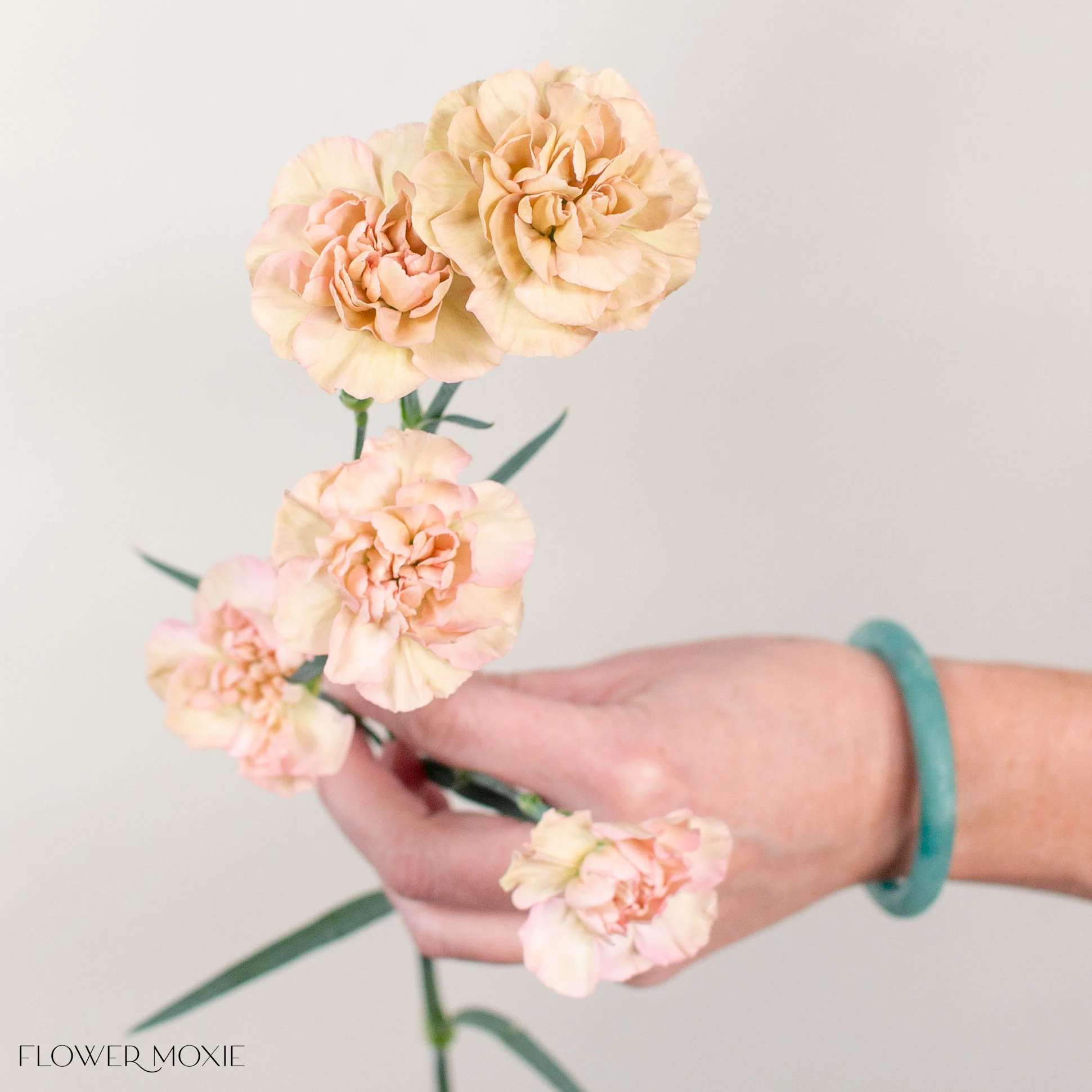 Terracotta Mini Carnation Flower - Image 2