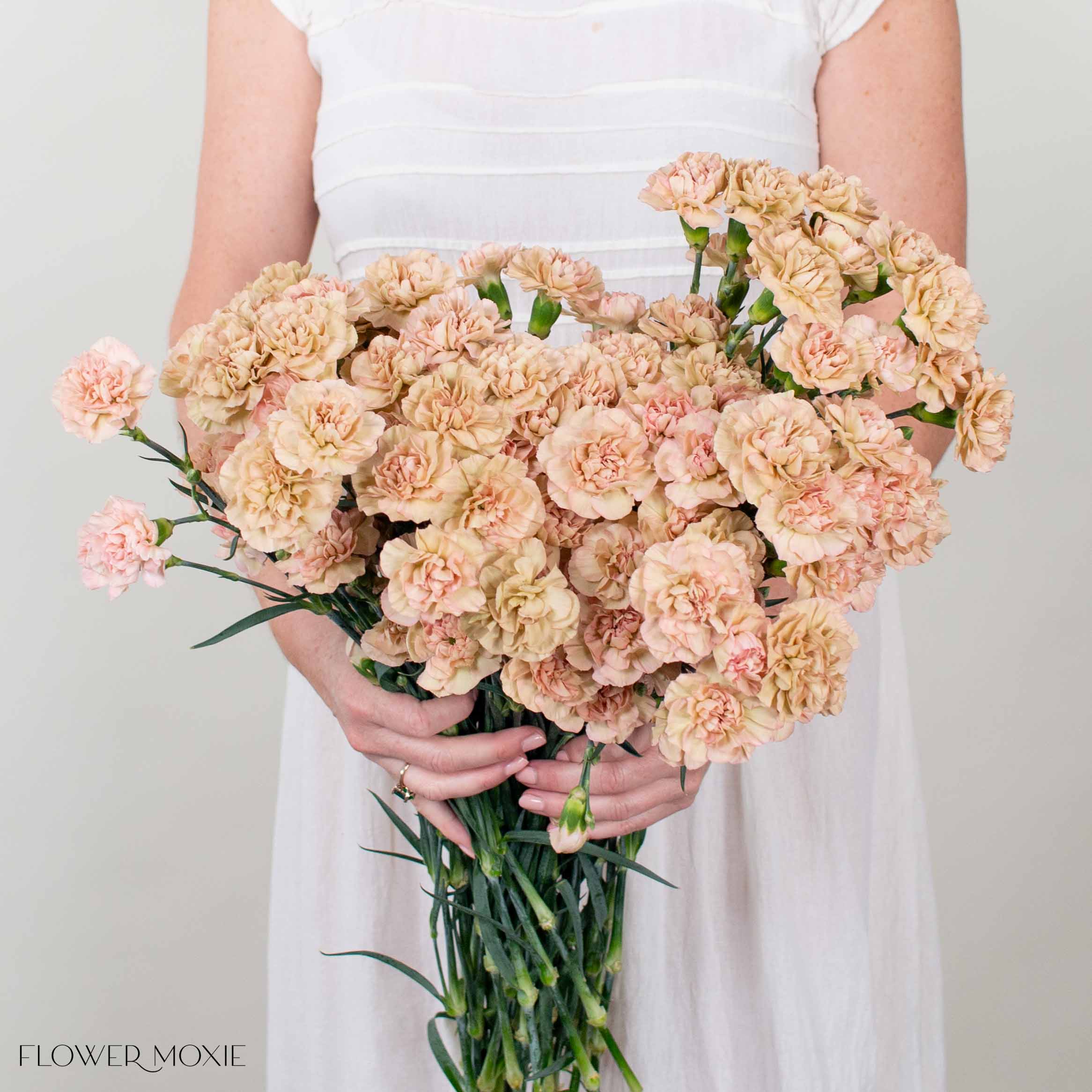 Terracotta Mini Carnation Flower - Image 3