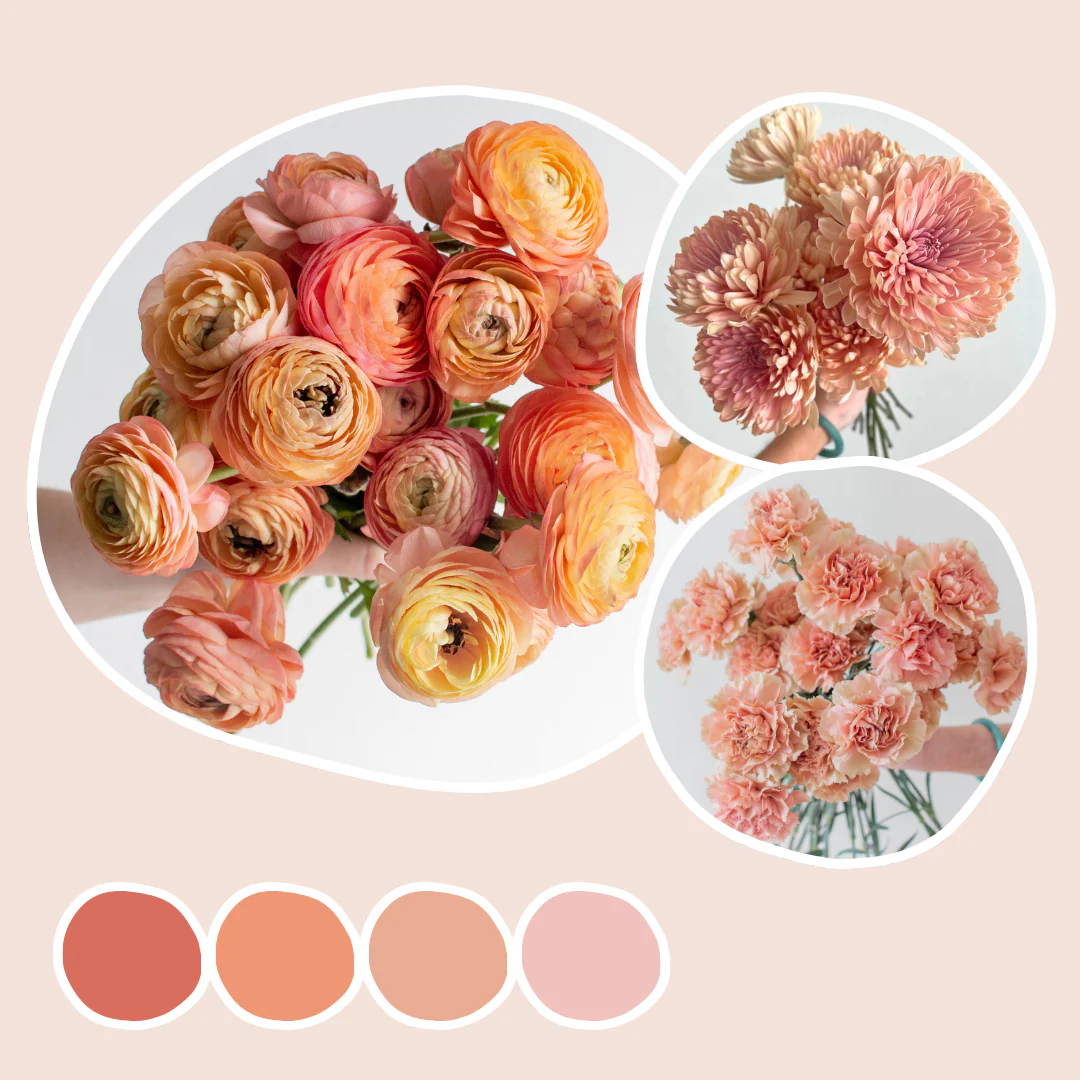 Peach Mixed Box – Monochrome