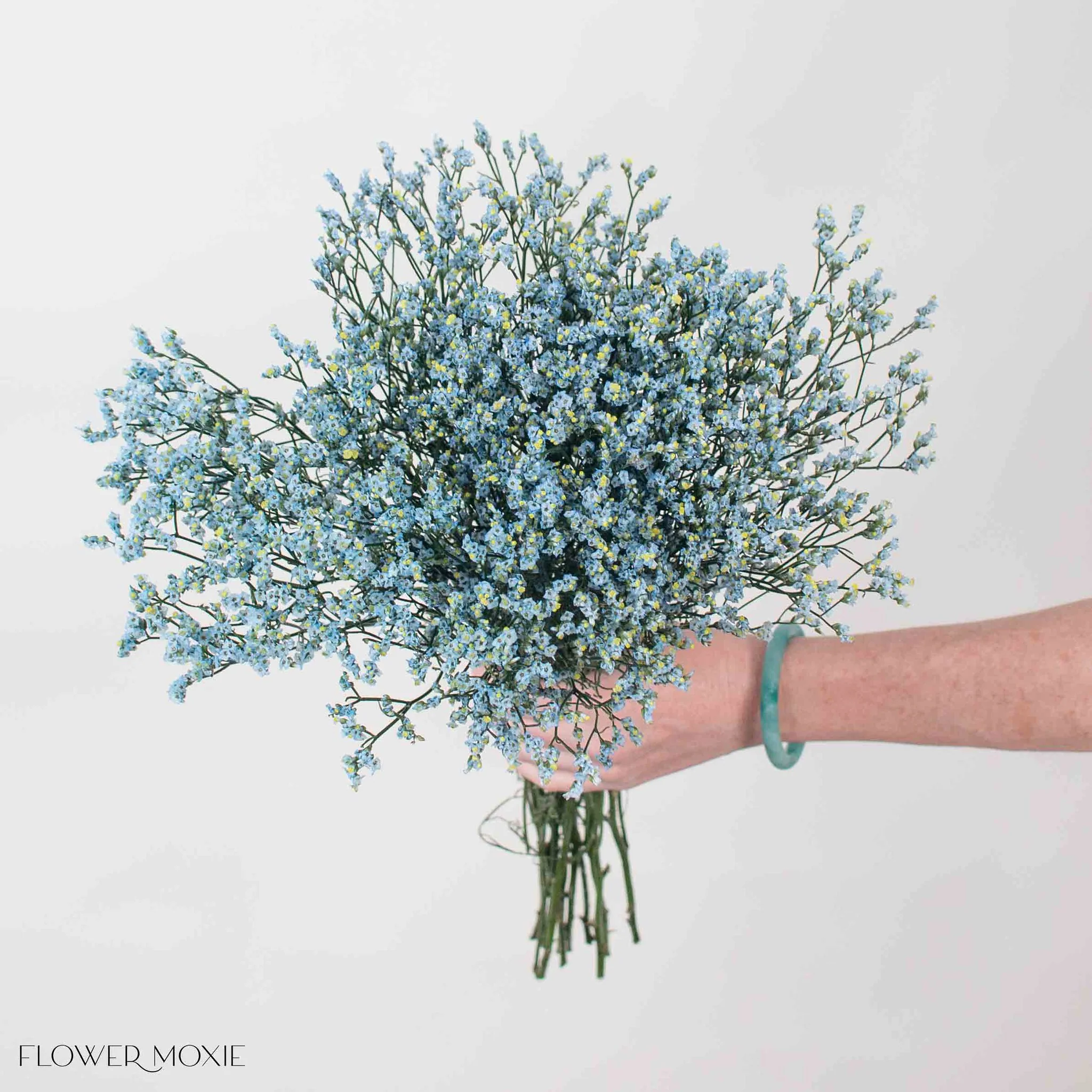 Tinted Blue Limonium Flower - Image 3