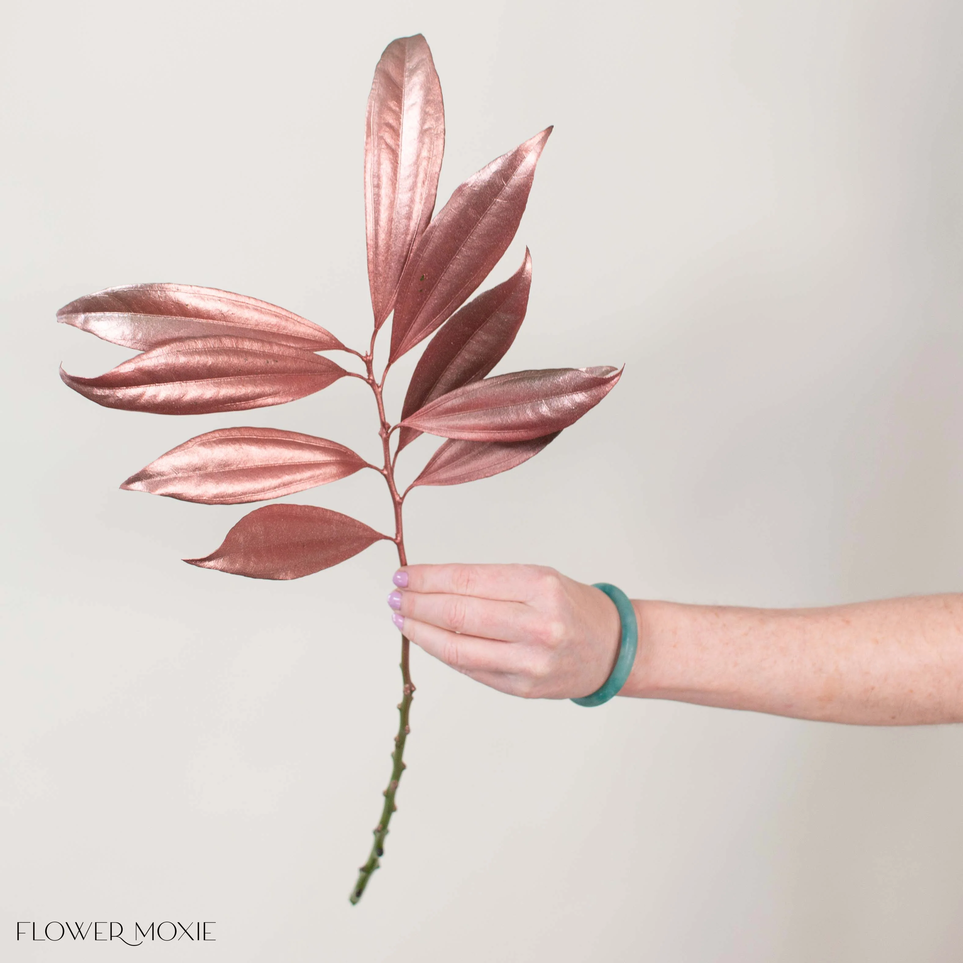 Tinted Bronze Cocculus Greenery - Image 3