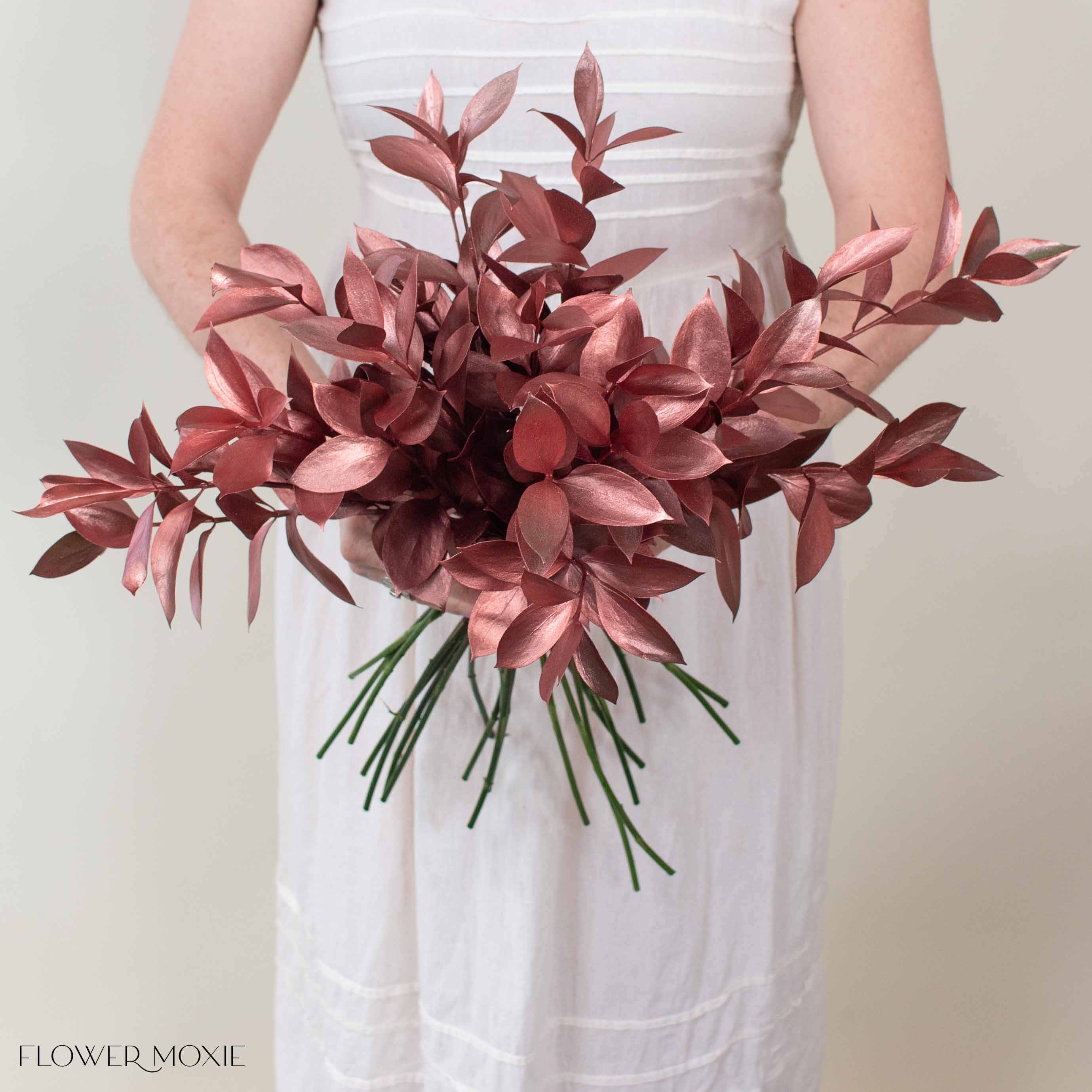 Tinted Bronze Israeli Ruscus Greenery - Image 3