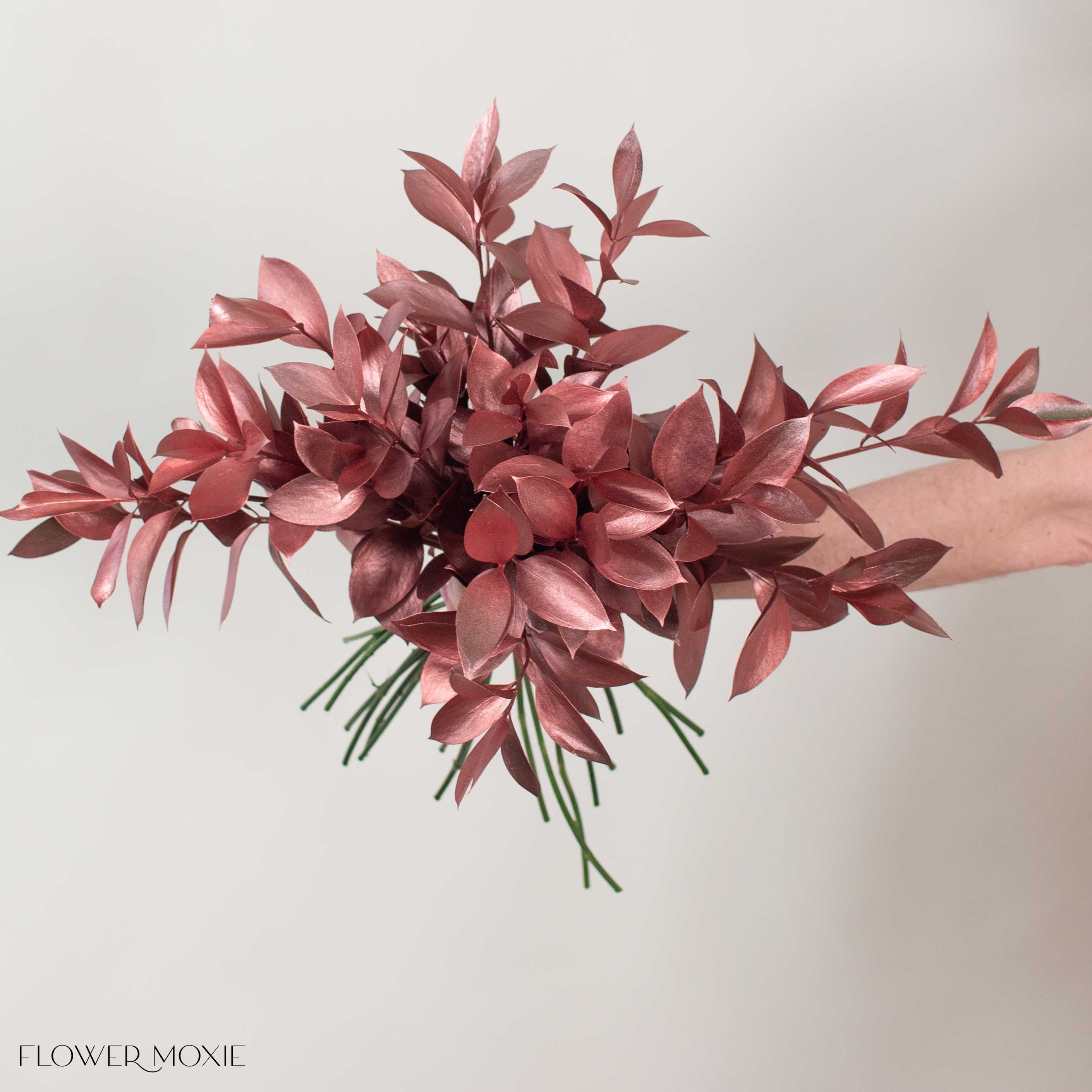 Tinted Bronze Israeli Ruscus Greenery - Image 4