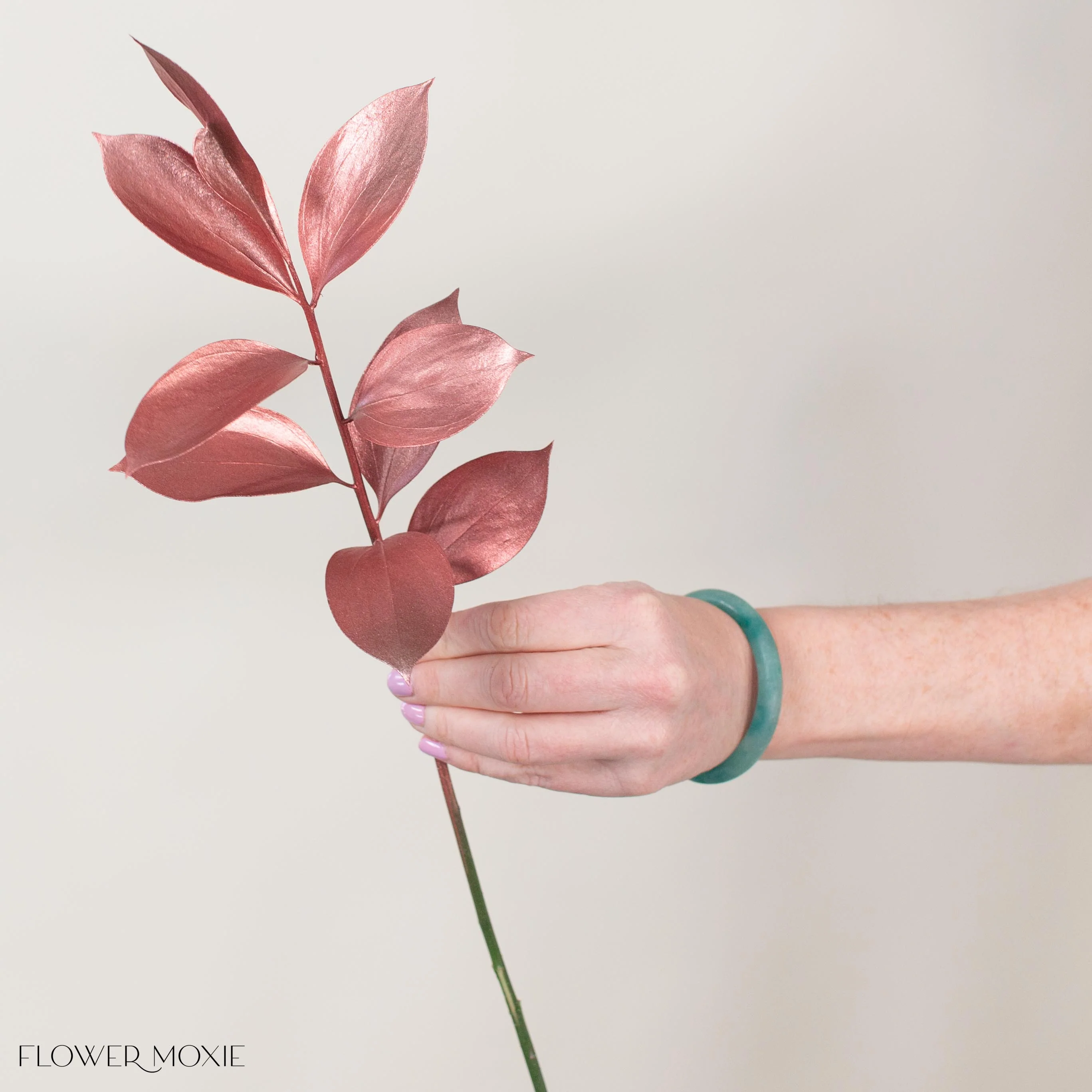 Tinted Bronze Israeli Ruscus Greenery - Image 5