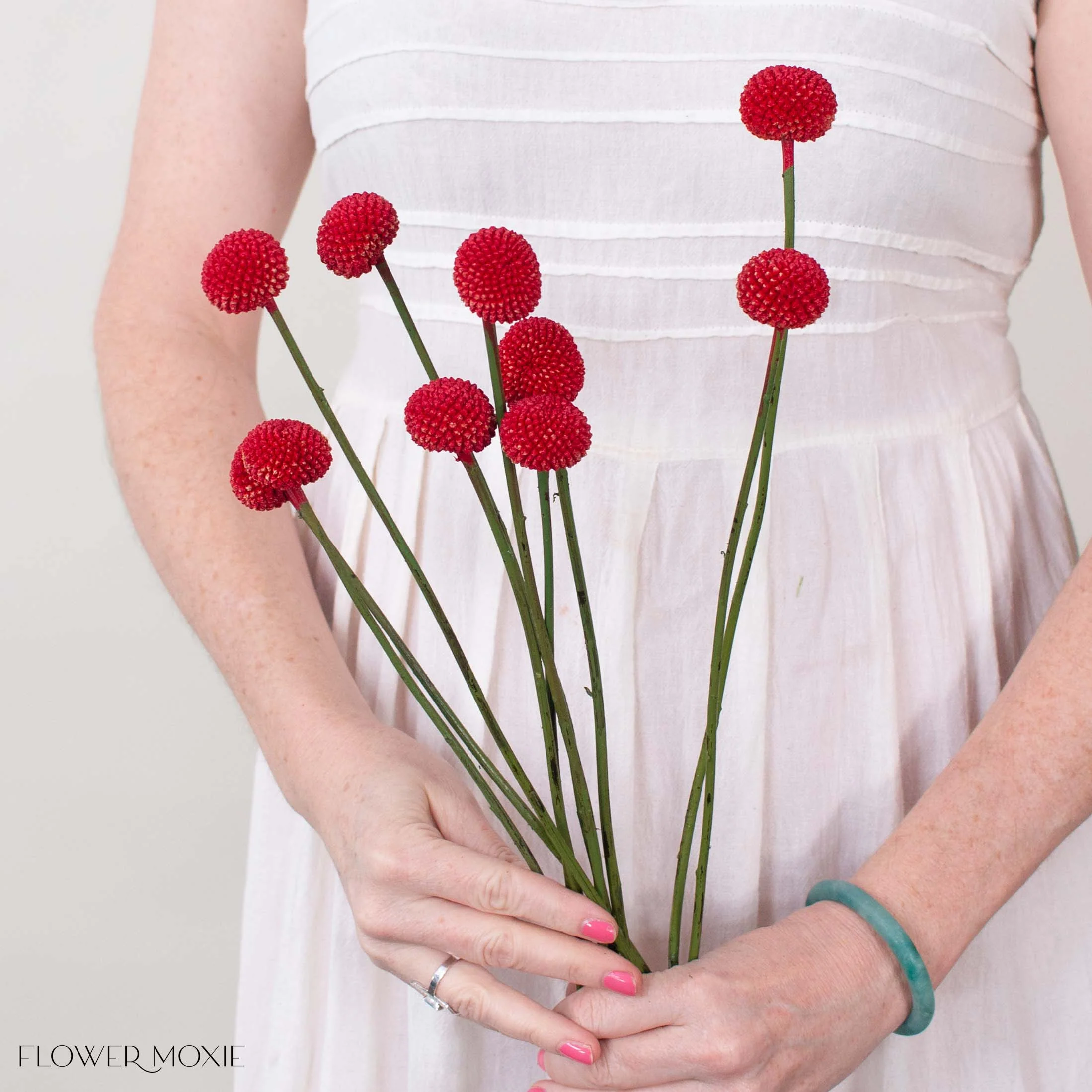 Tinted Grenadine Billy Ball Flower - Image 2