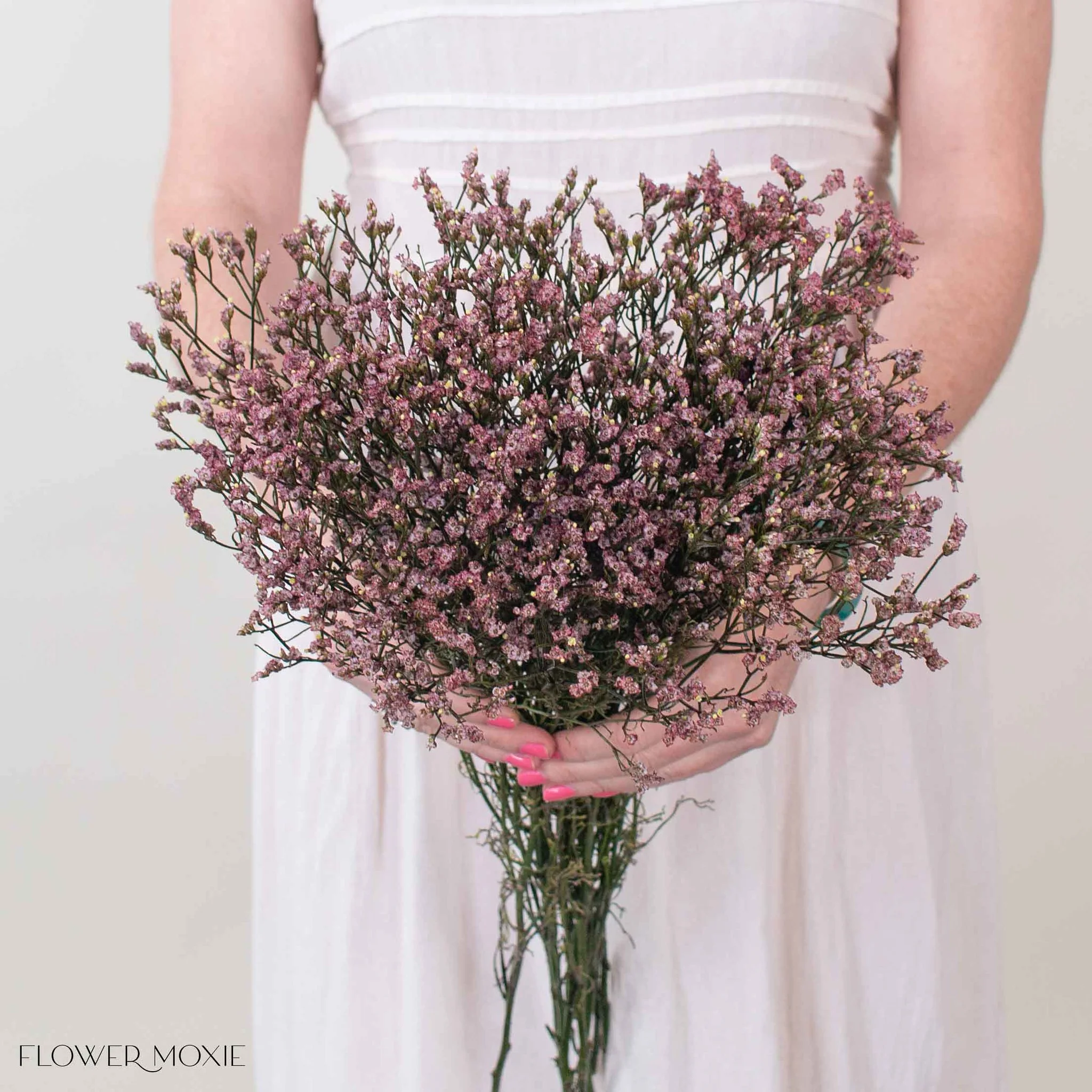 Tinted Mauve Limonium Flower