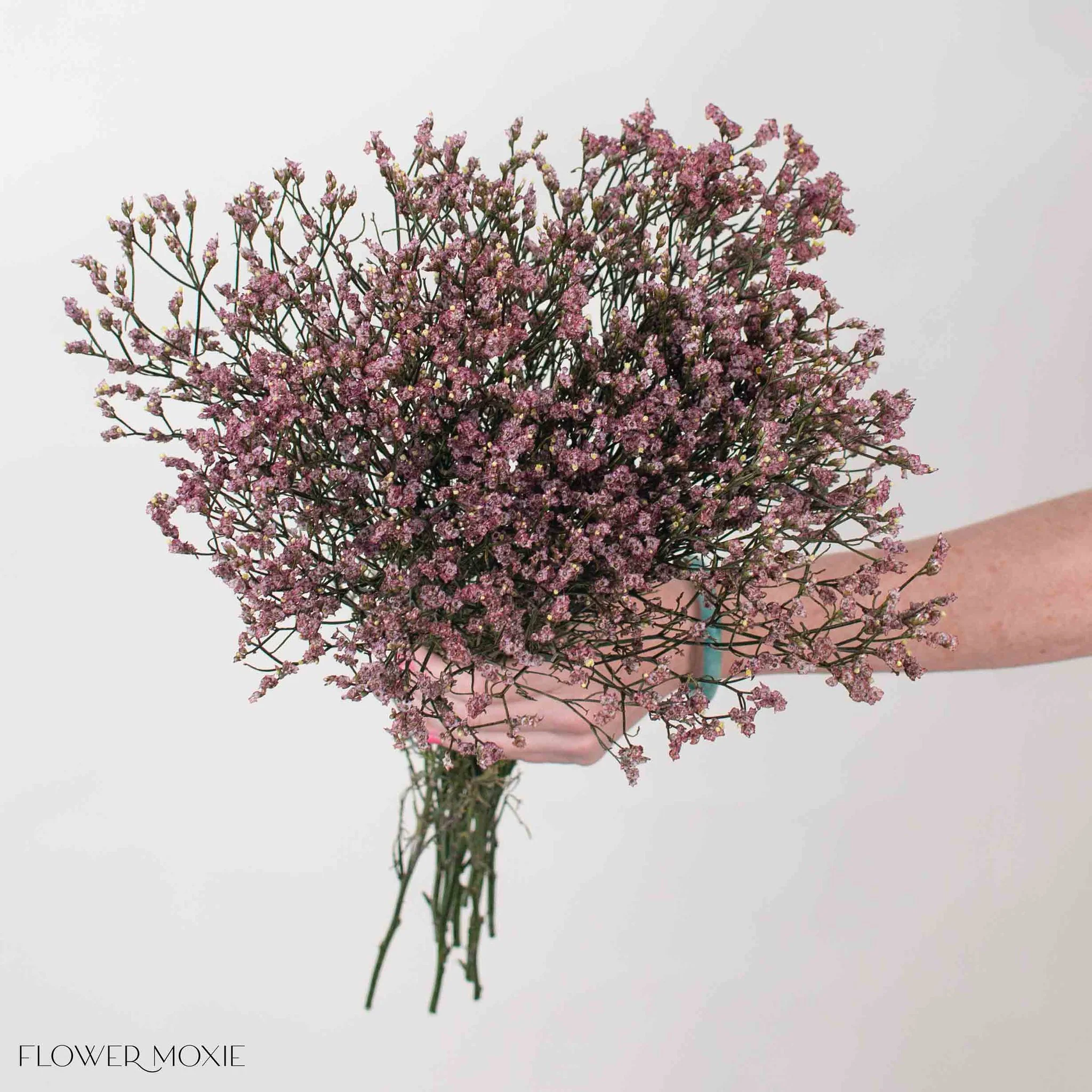 Tinted Mauve Limonium Flower - Image 3
