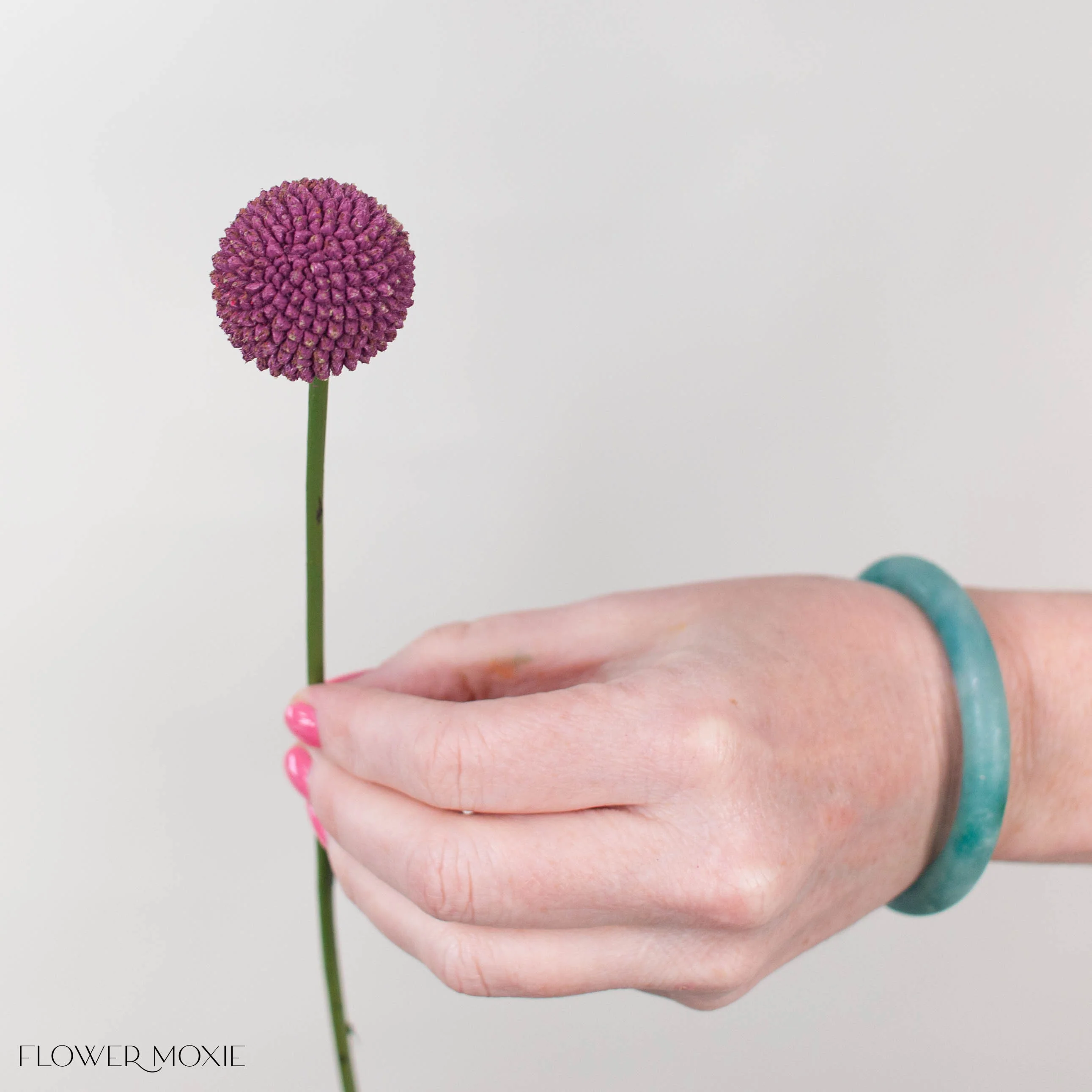 Tinted Mulberry Billy Ball Flower - Image 3
