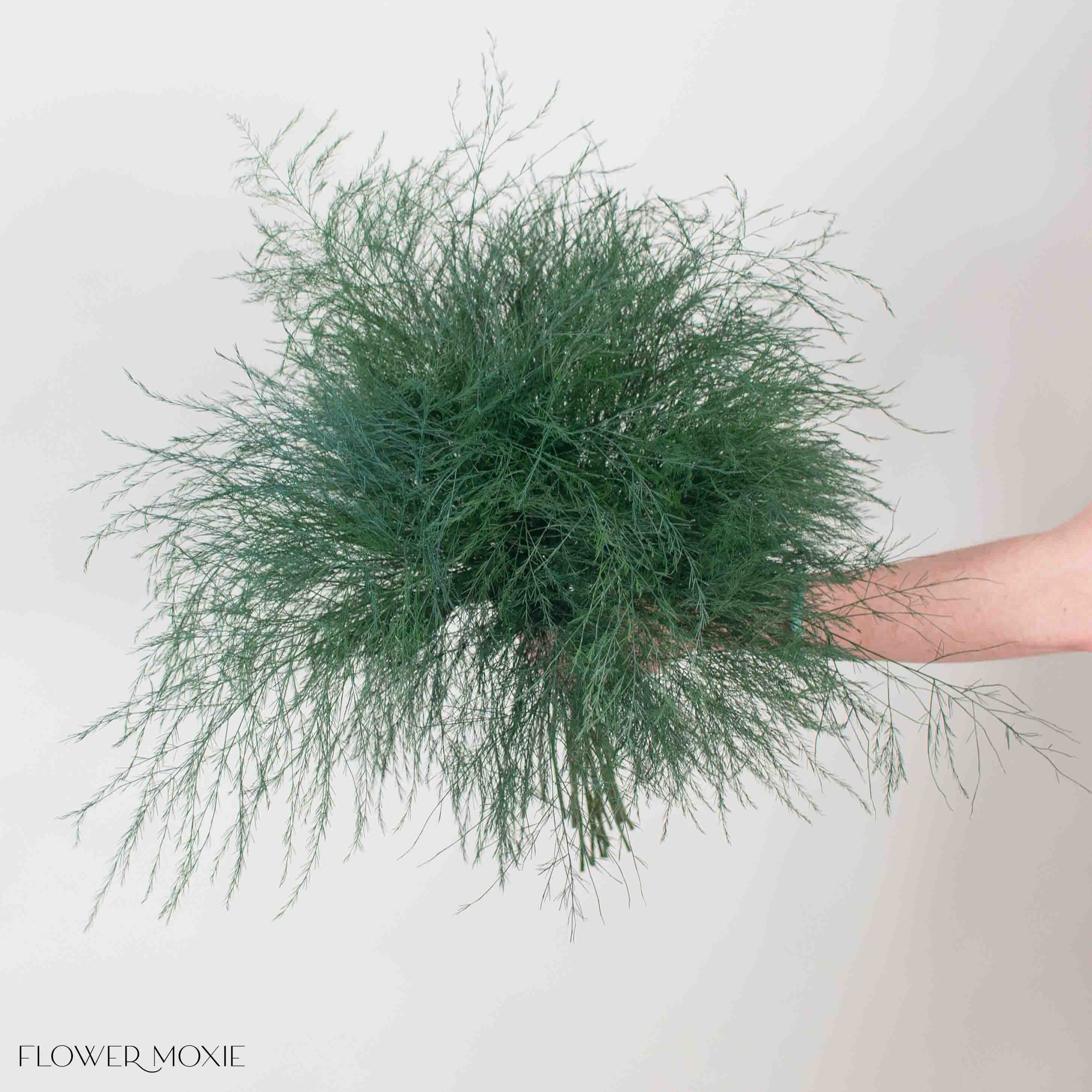 Tree Fern Greenery - Image 3