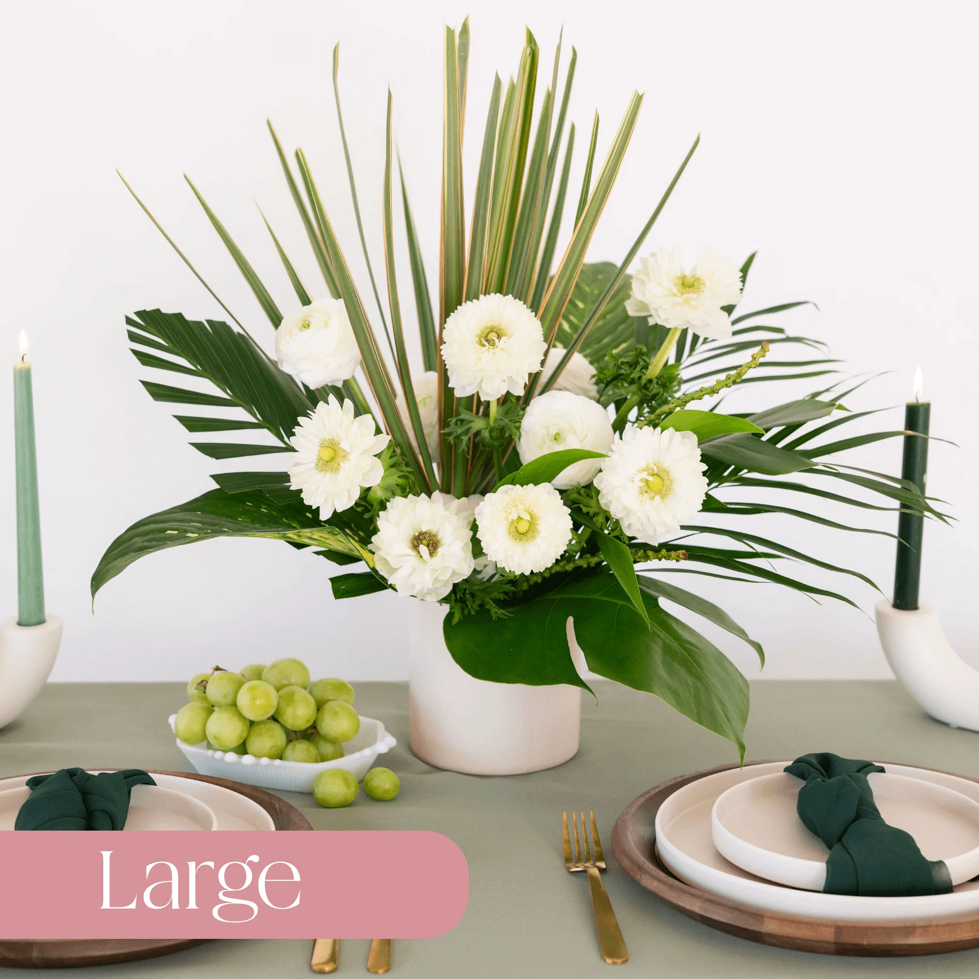Tropical Minimalism Premade - Large Package