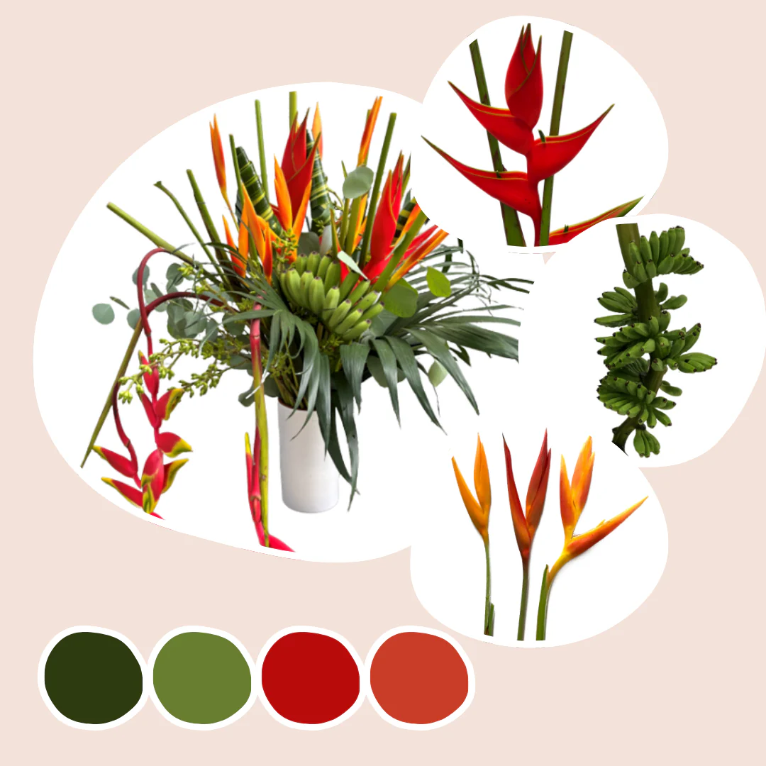 Tropical Mixed Box – Island Heat