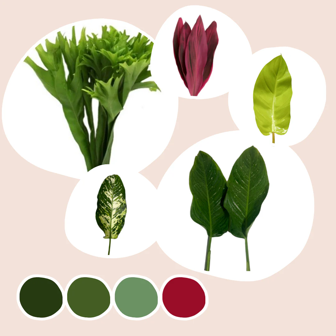 Tropical Mixed Box – Jungle Greens