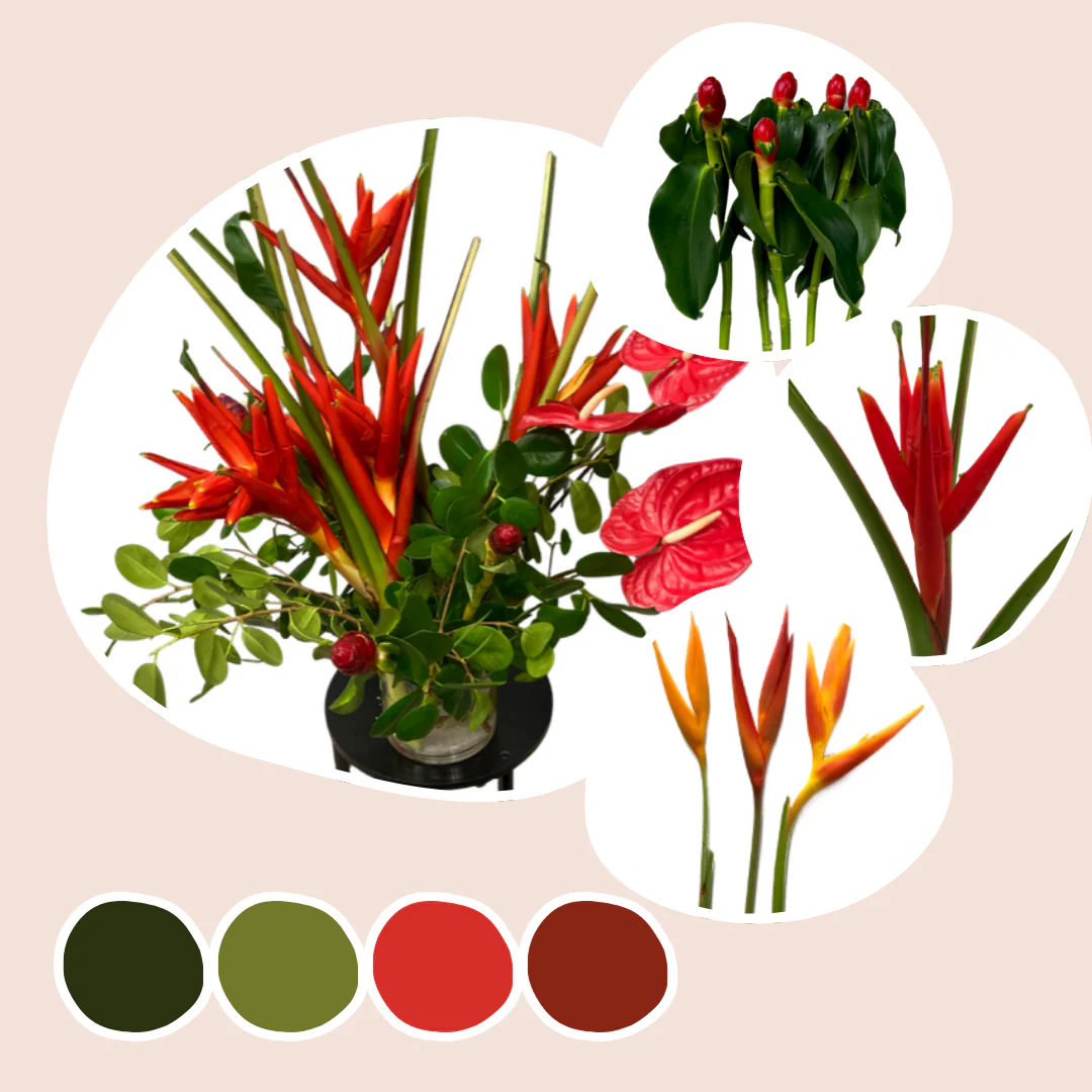 Tropical Mixed Box – Paradise