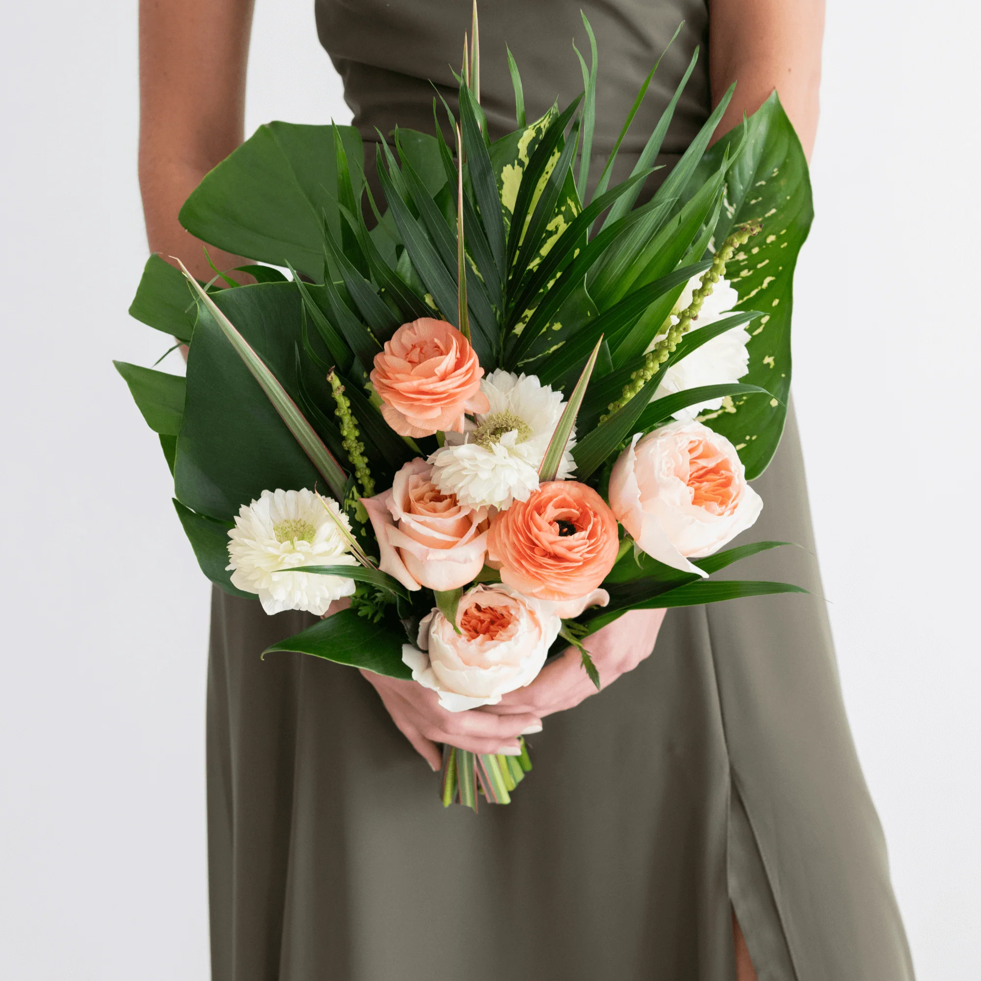 Tropical Nouveau Premade Plus - 6 Maids