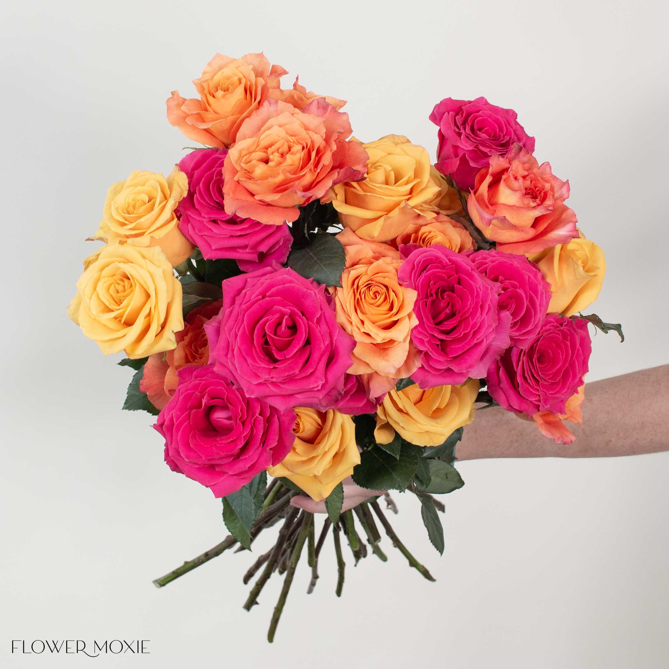Tropical Sunset Rose Mix - Image 2