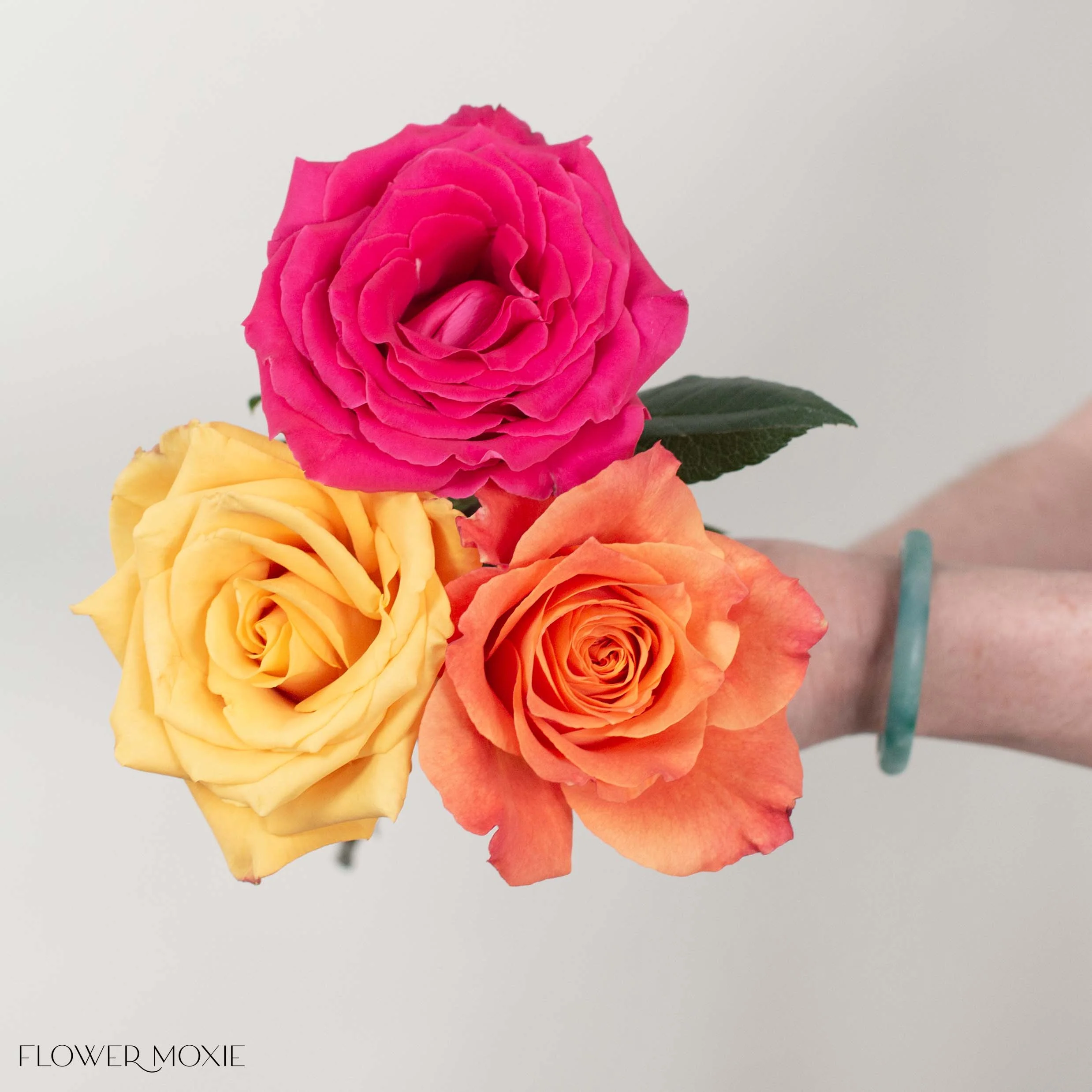 Tropical Sunset Rose Mix - Image 4