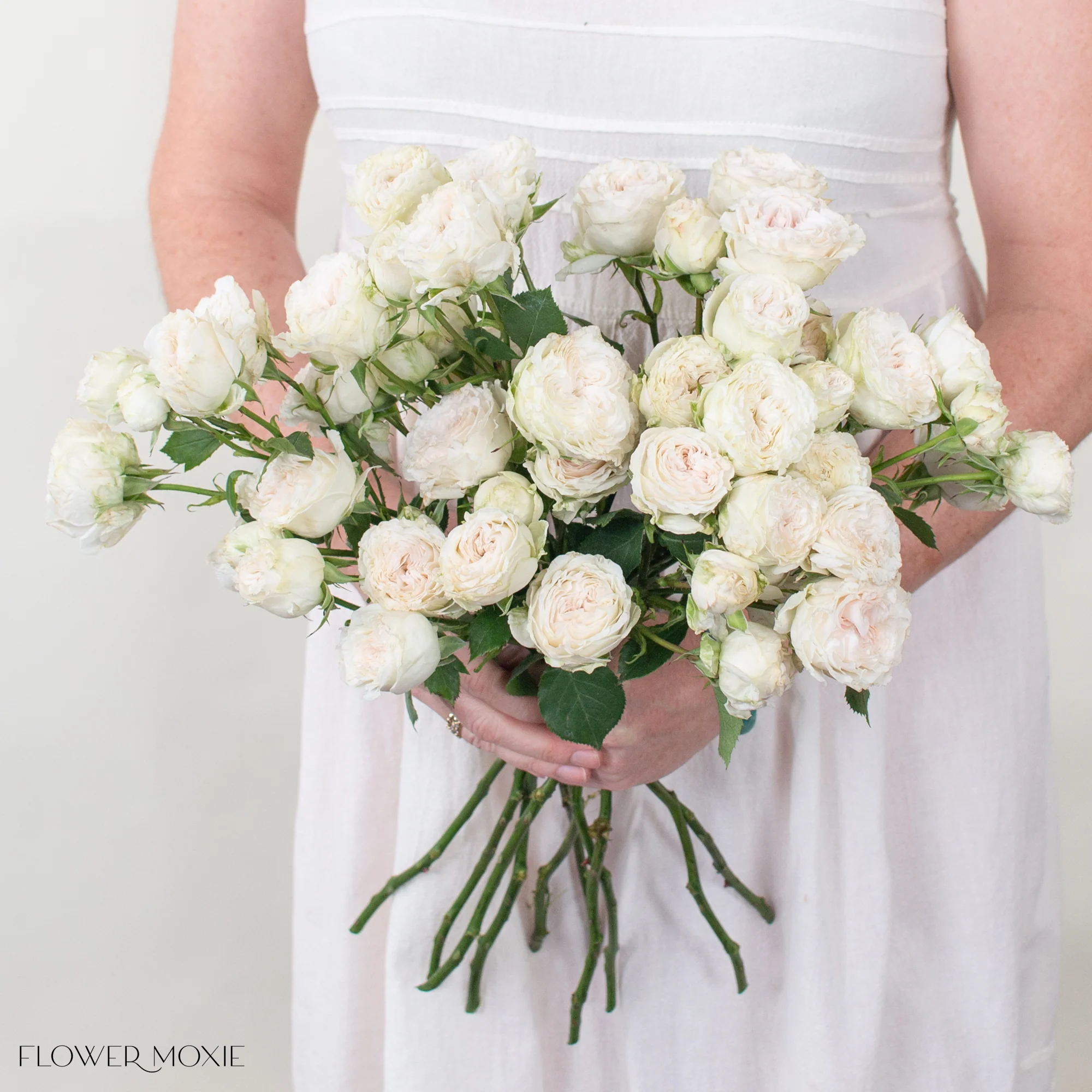 True Blush Spray Roses - Image 3
