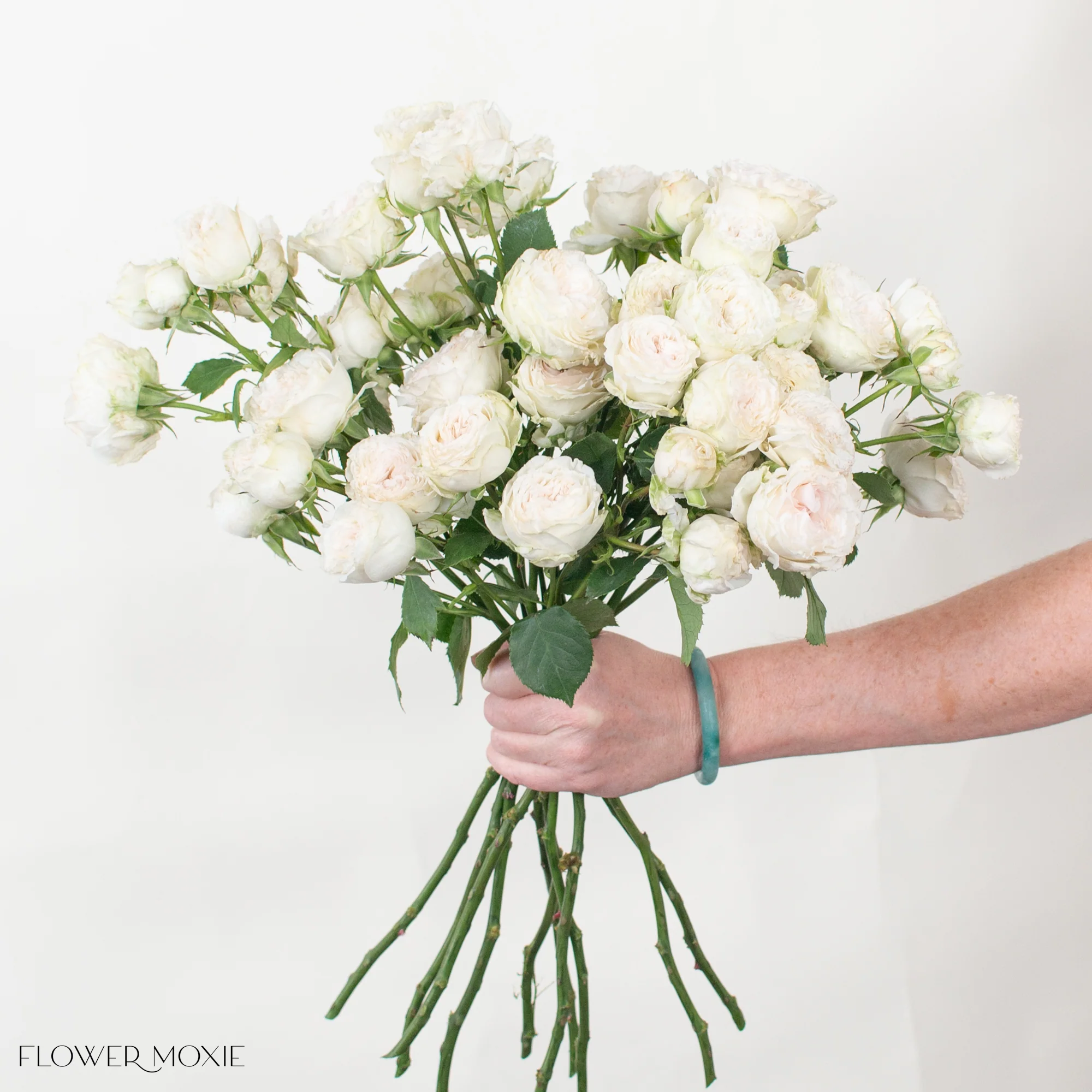 True Blush Spray Roses - Image 4