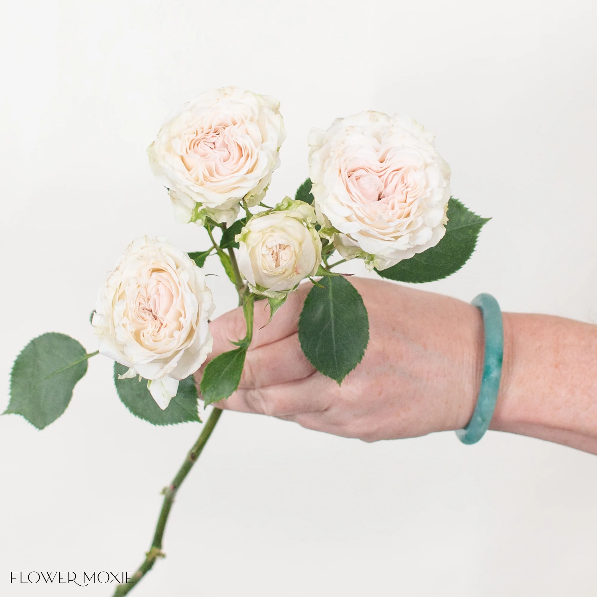 True Blush Spray Roses - Image 5