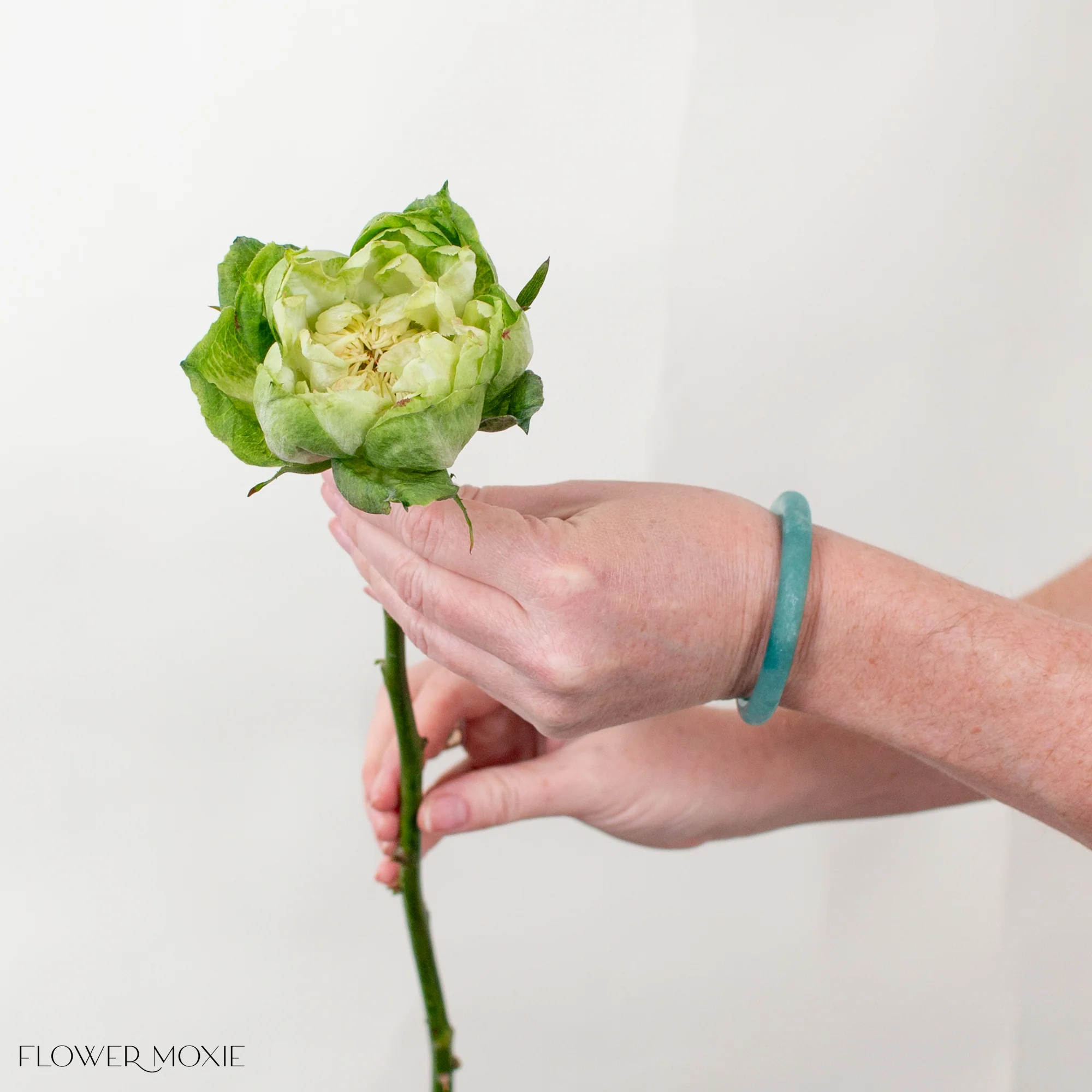Green Veggie Garden Rose - Image 3