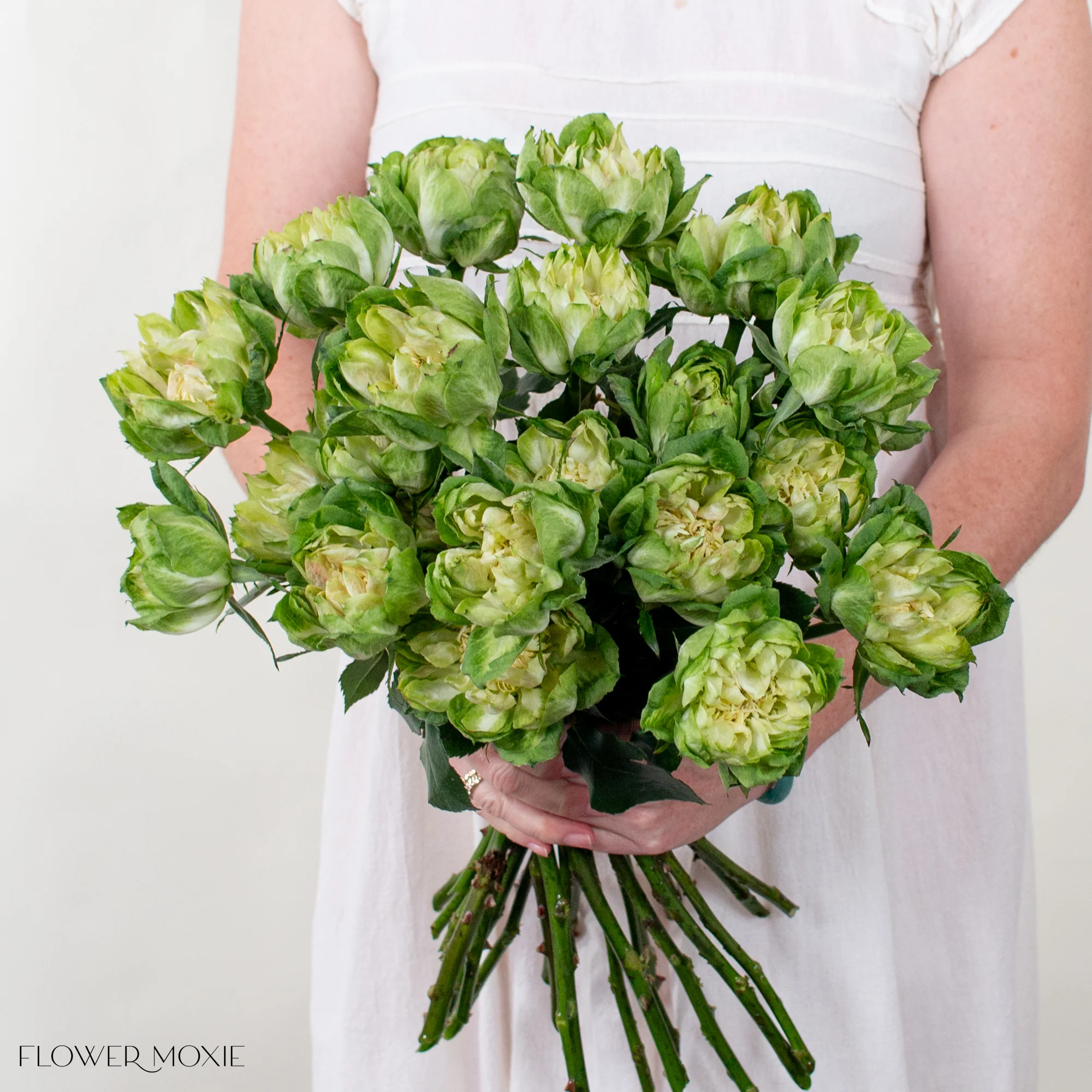 Green Veggie Garden Rose - Image 4