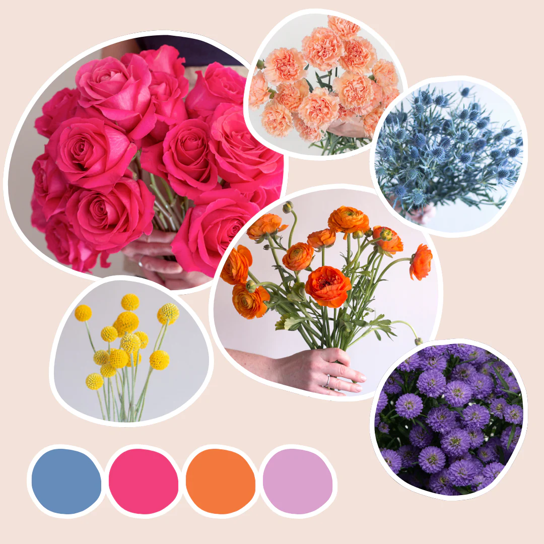 Vibrant Mixed Box – Carnival