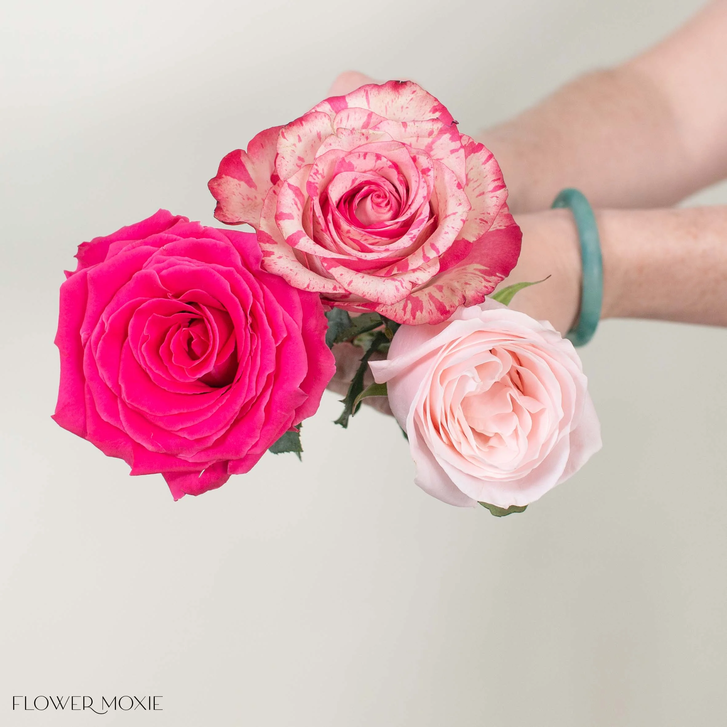 Vibrant Pink Rose Mix - Image 4